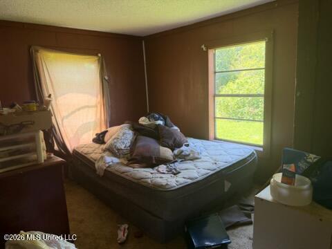 1115 Krebs Property Photo 7
