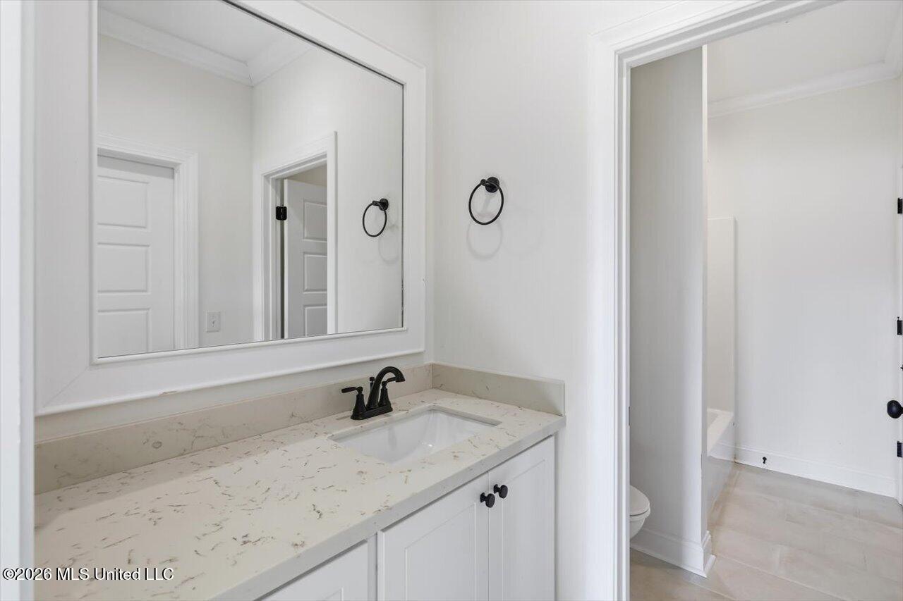 311 Jasmine Cove Lane Property Photo 26