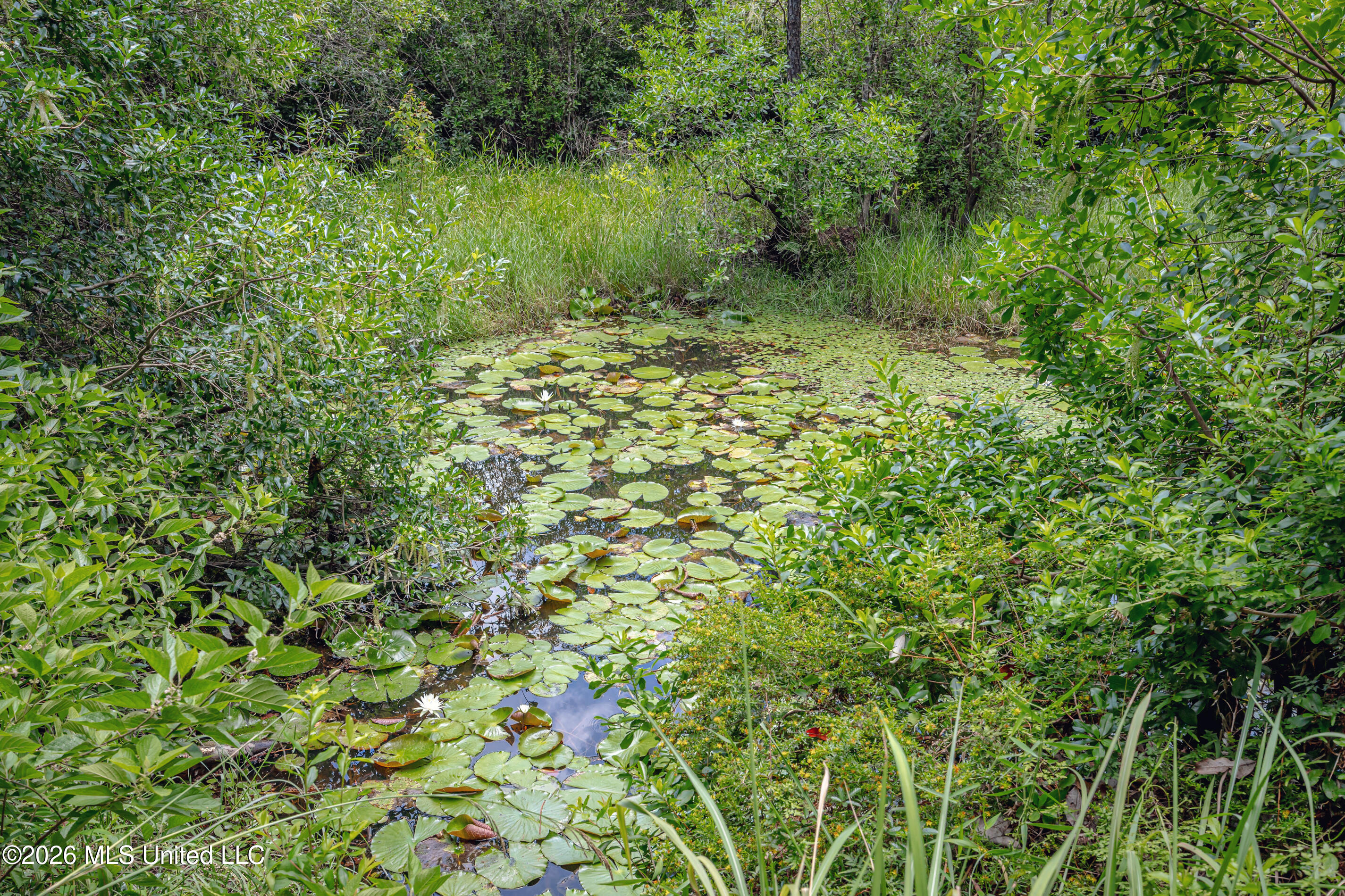 15608 Stanley Road Property Photo 5