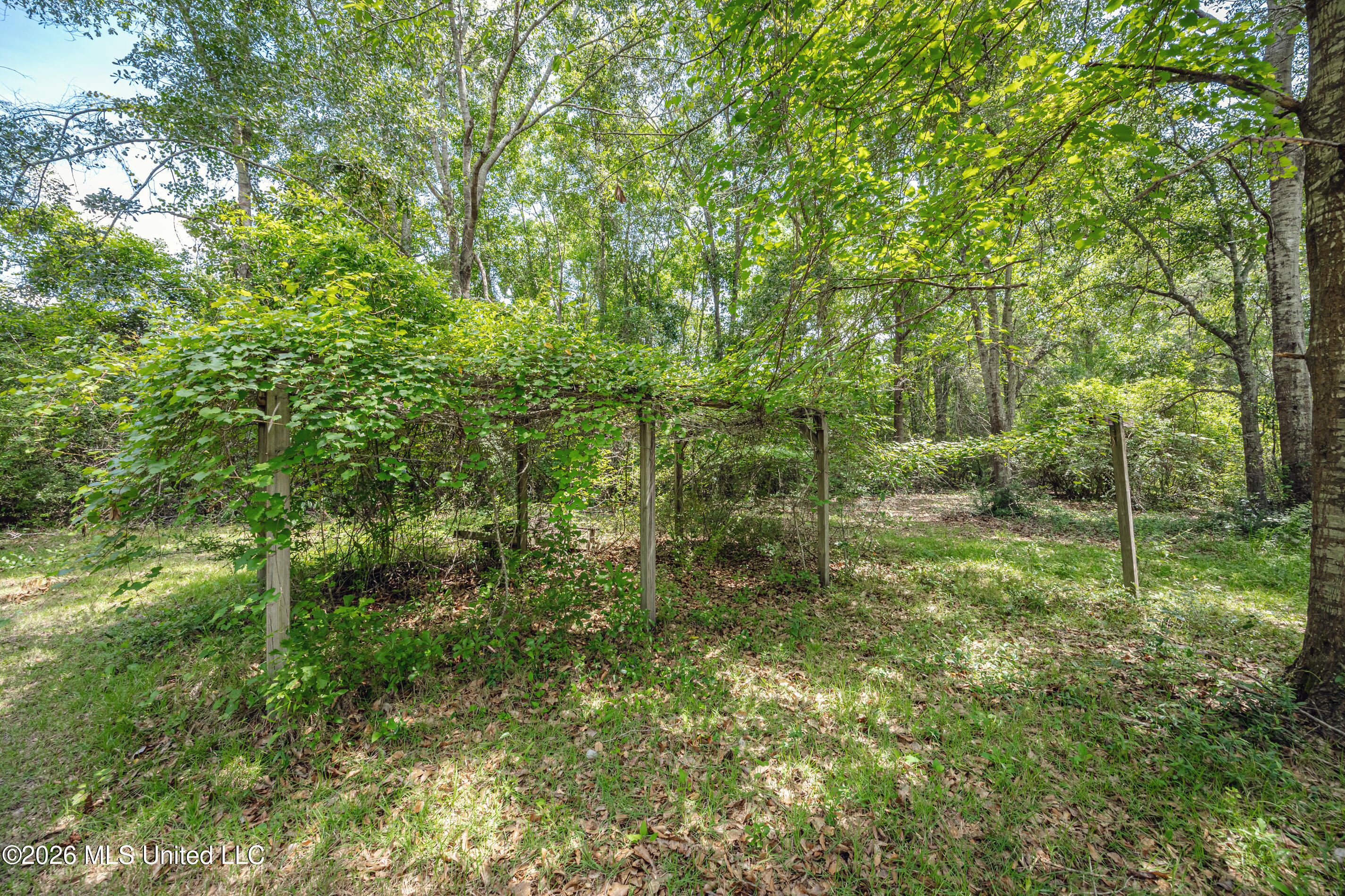 15608 Stanley Road Property Photo 49