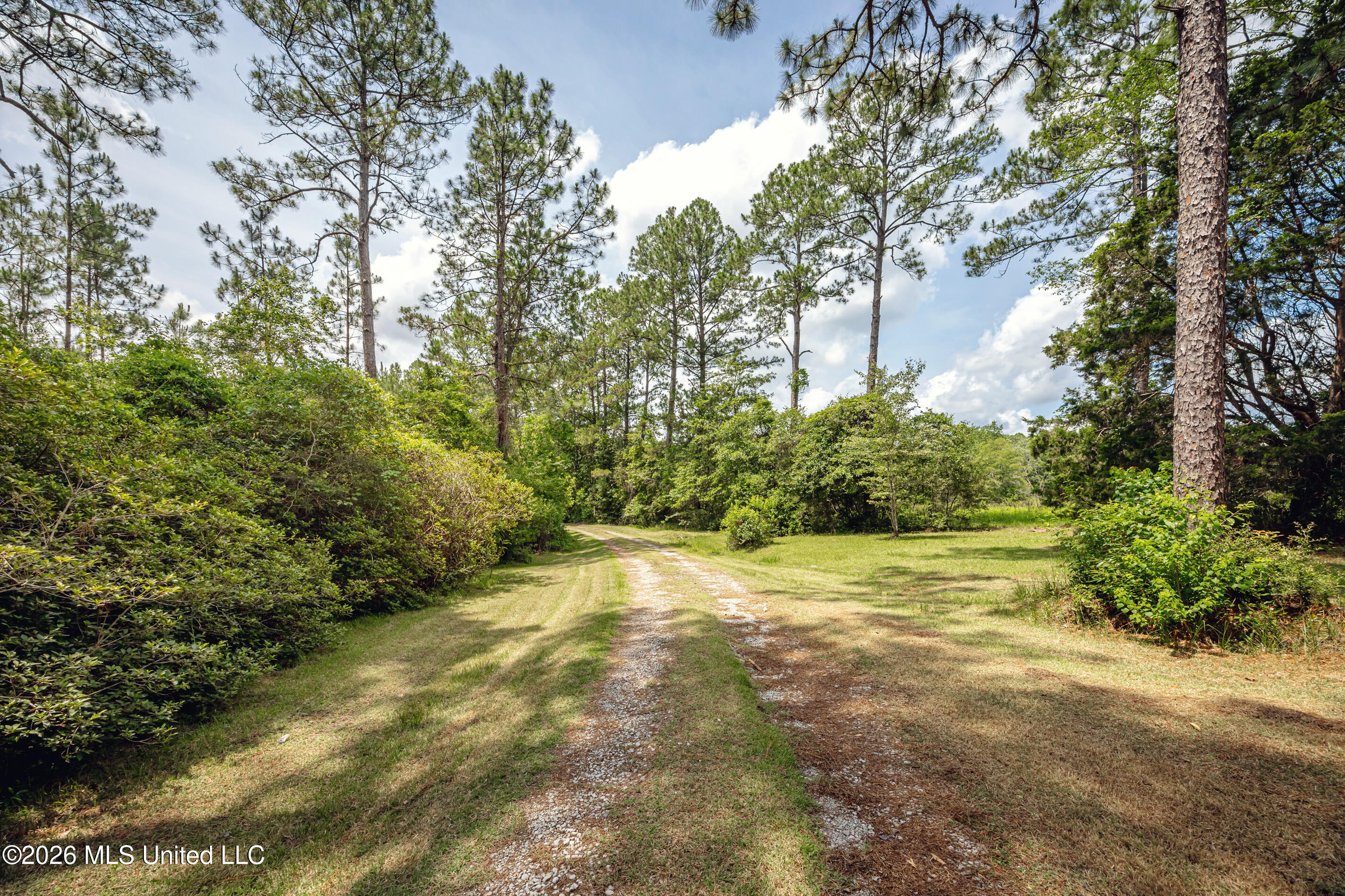 15608 Stanley Road Property Photo 58
