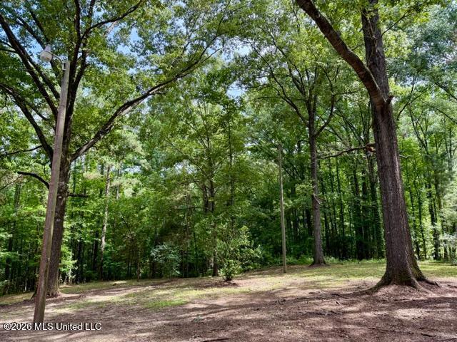 55 Scheffel Road Property Photo 5