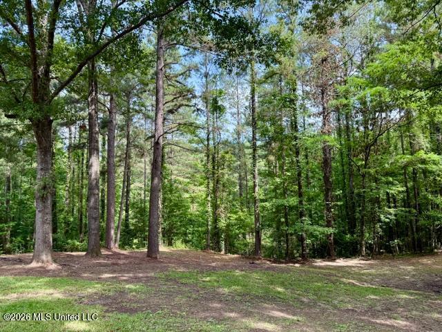 55 Scheffel Road Property Photo 6