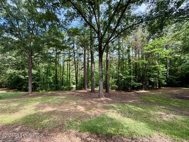55 Scheffel Road Property Photo 9