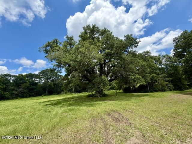 18 Easley Fortenberry Road Property Photo 5