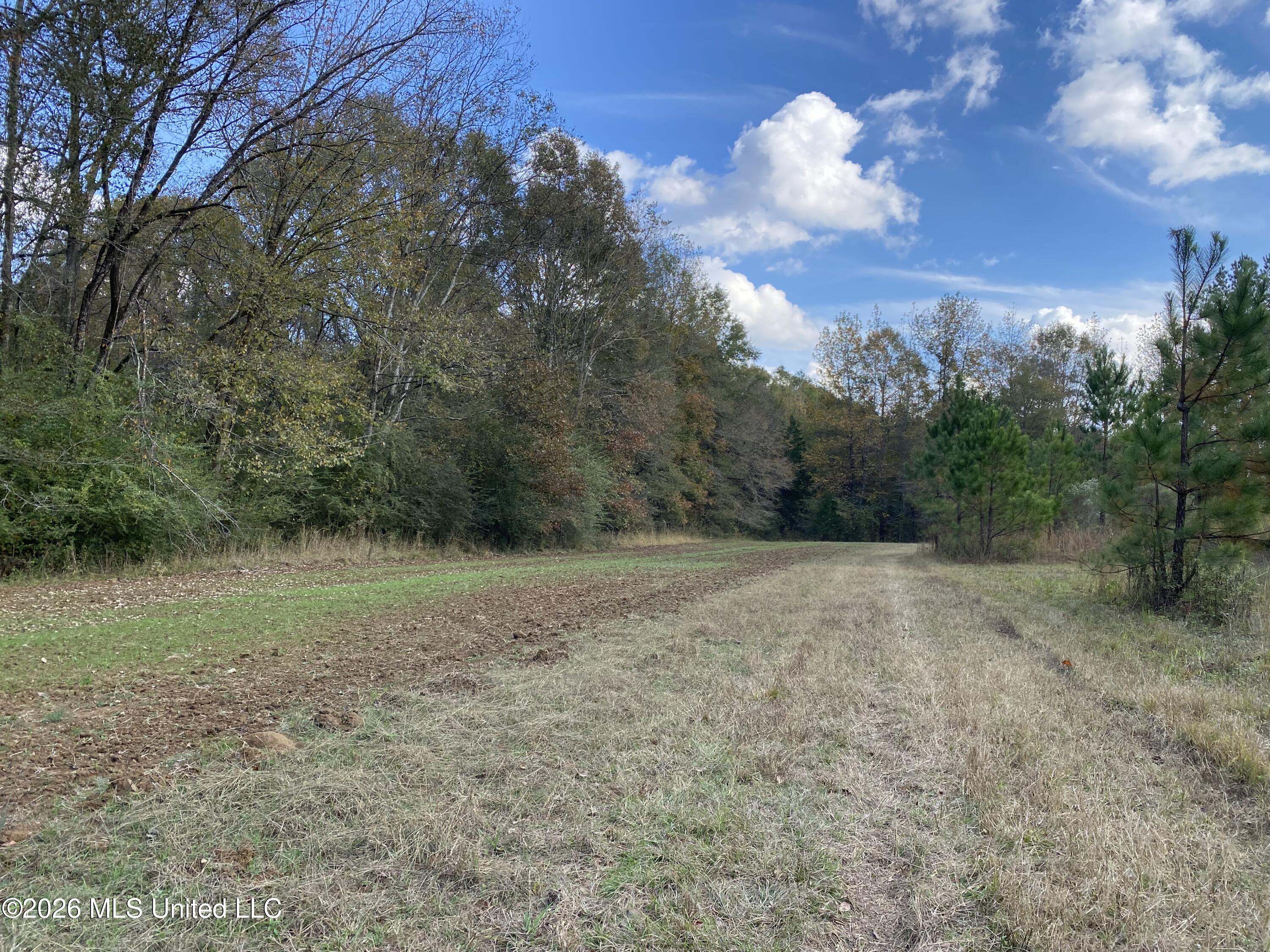 1359 Loring Road Exd Property Photo 13
