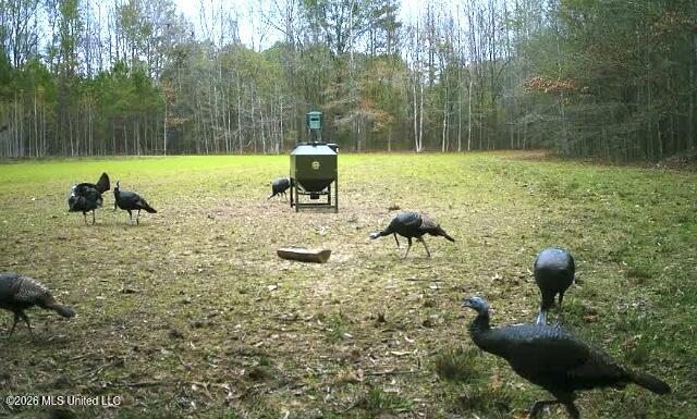 1359 Loring Road Exd Property Photo 55