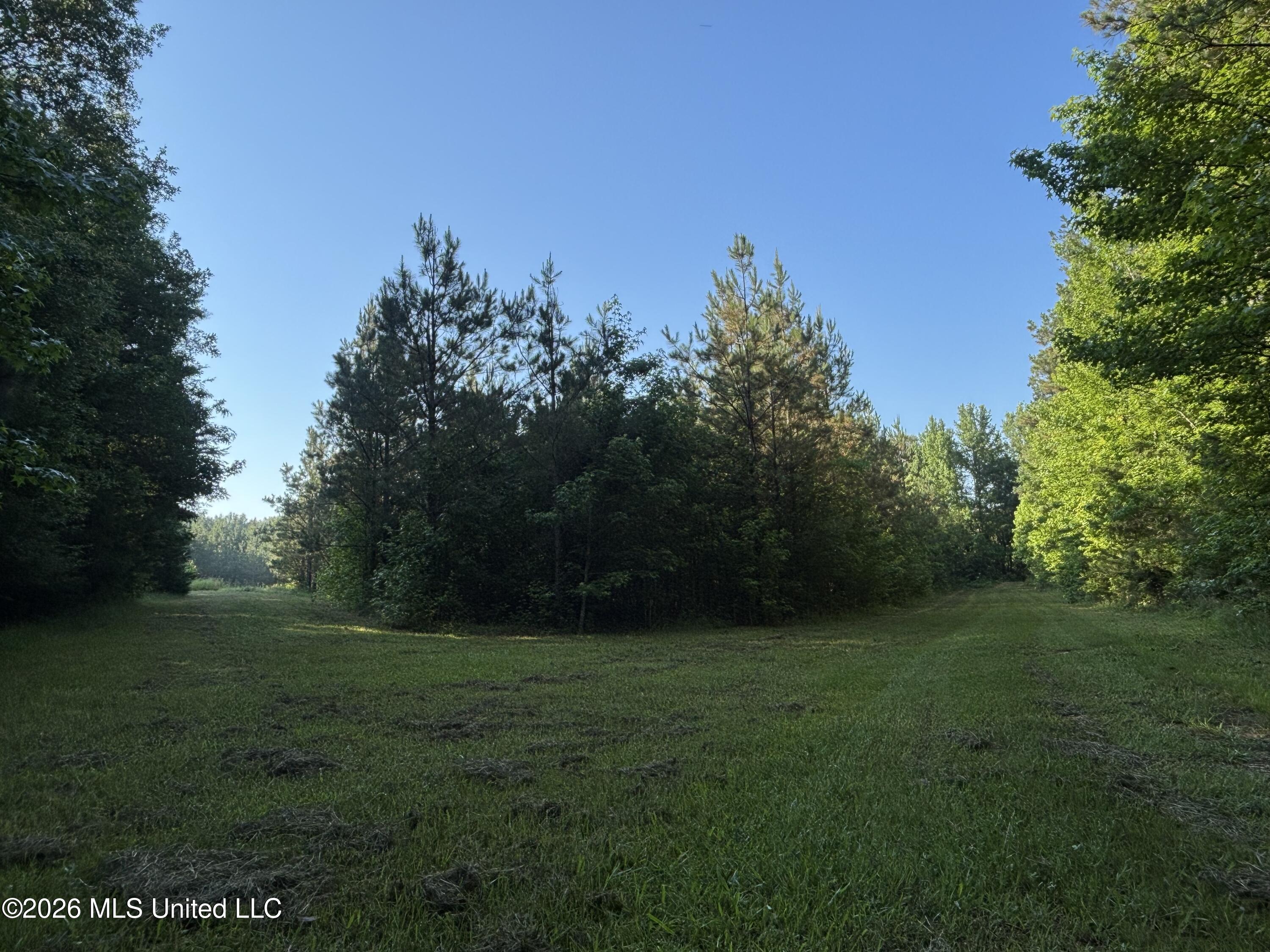1359 Loring Road Exd Property Photo 63
