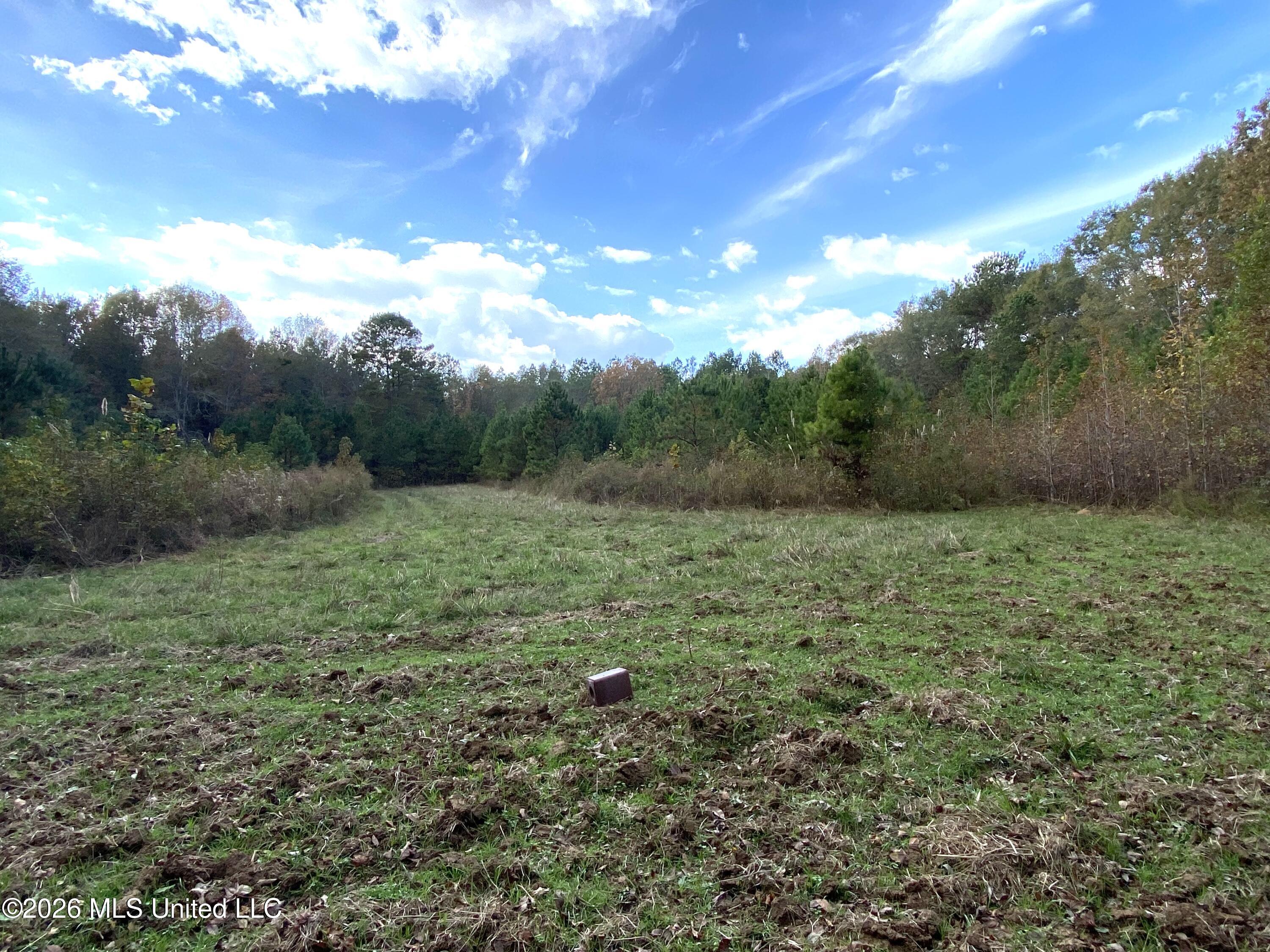 1359 Loring Road Exd Property Photo 65
