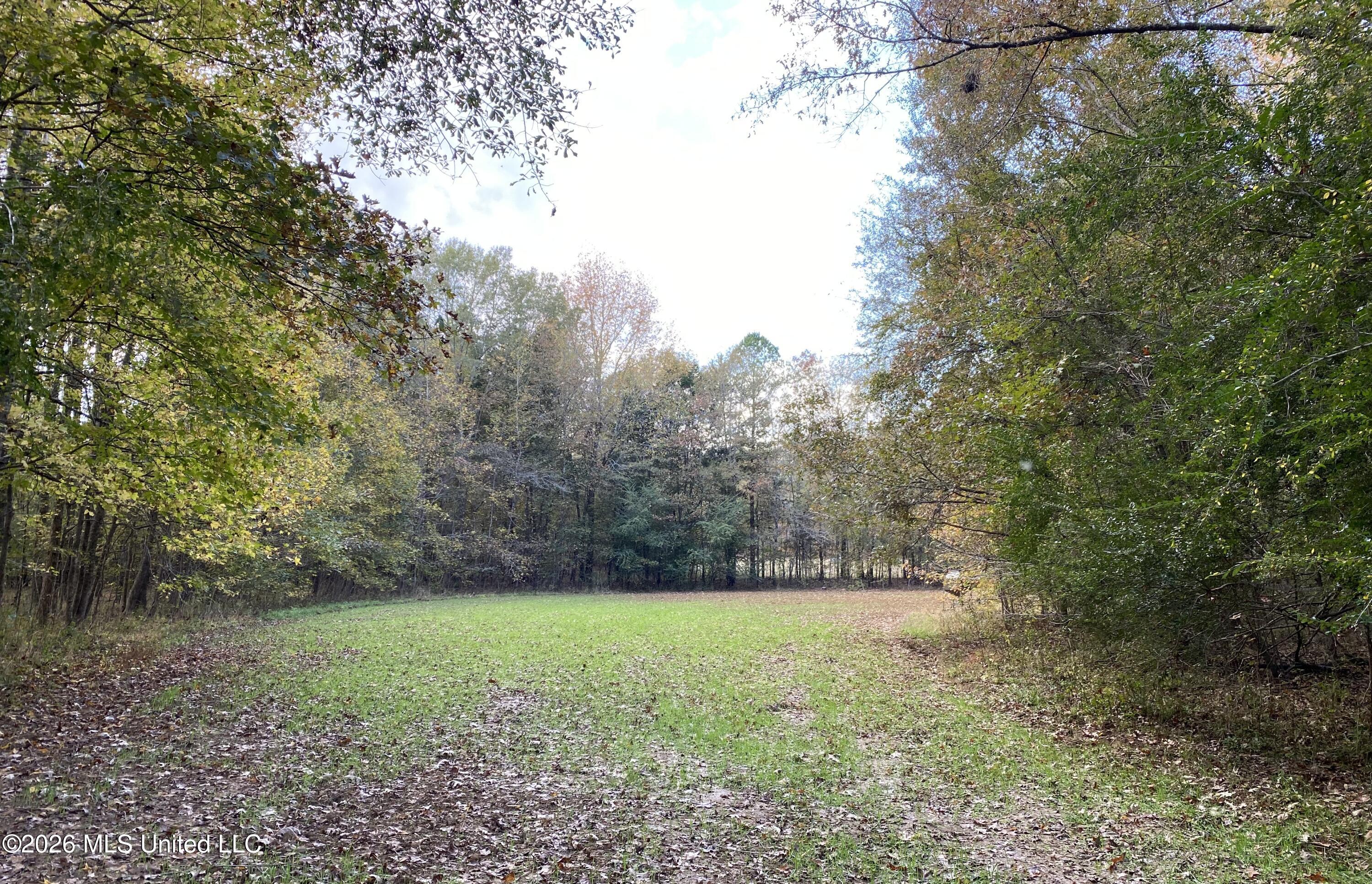 1359 Loring Road Exd Property Photo 69