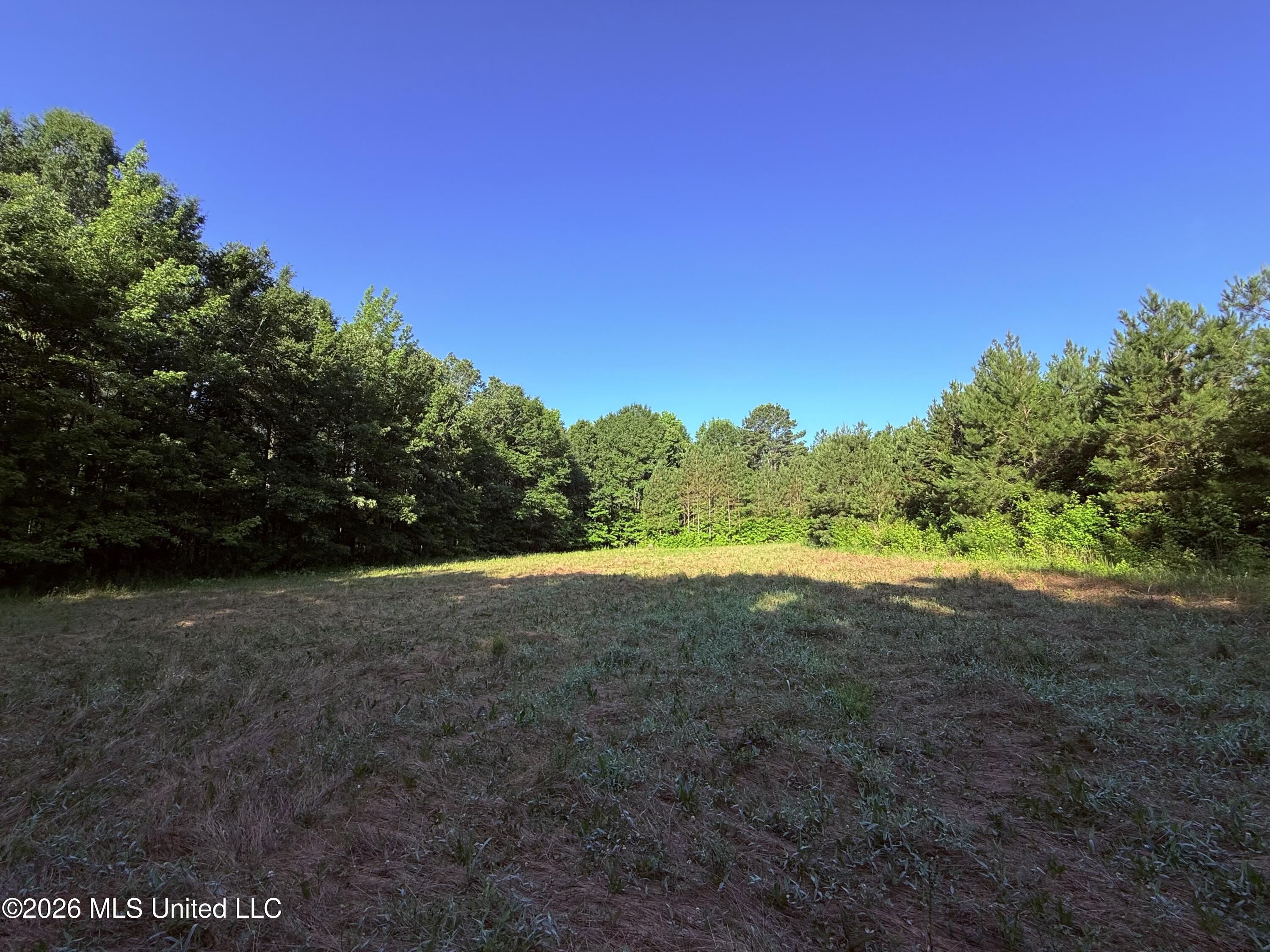 1359 Loring Road Exd Property Photo 73