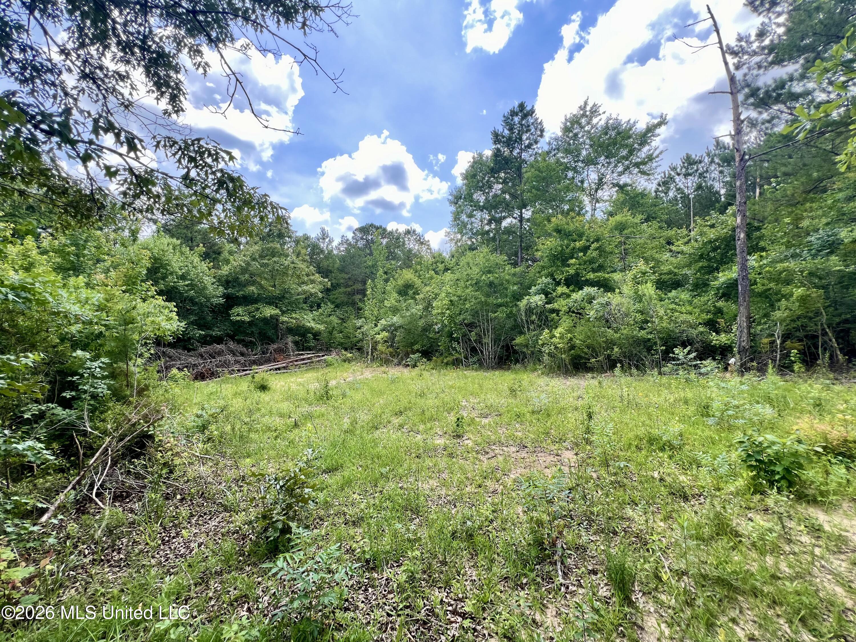 169 Holmesville Road Property Photo 4