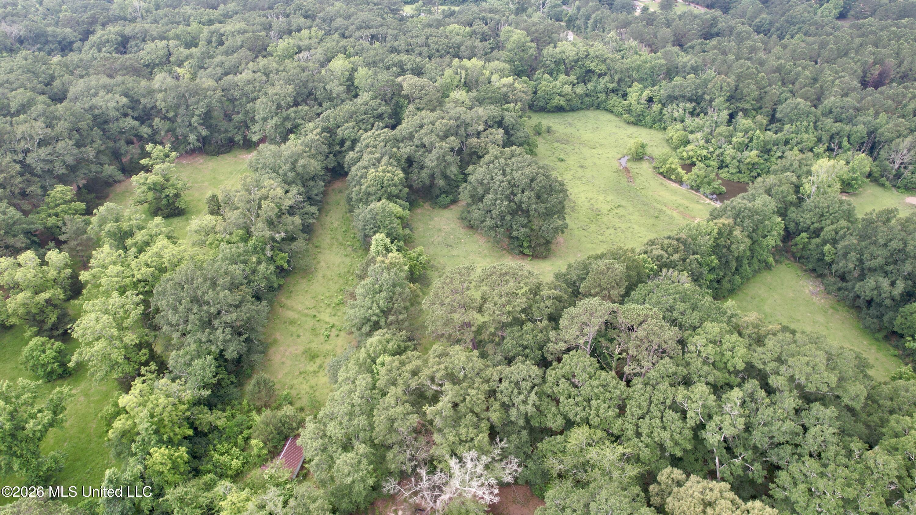 1015 Highway 51 Property Photo 1