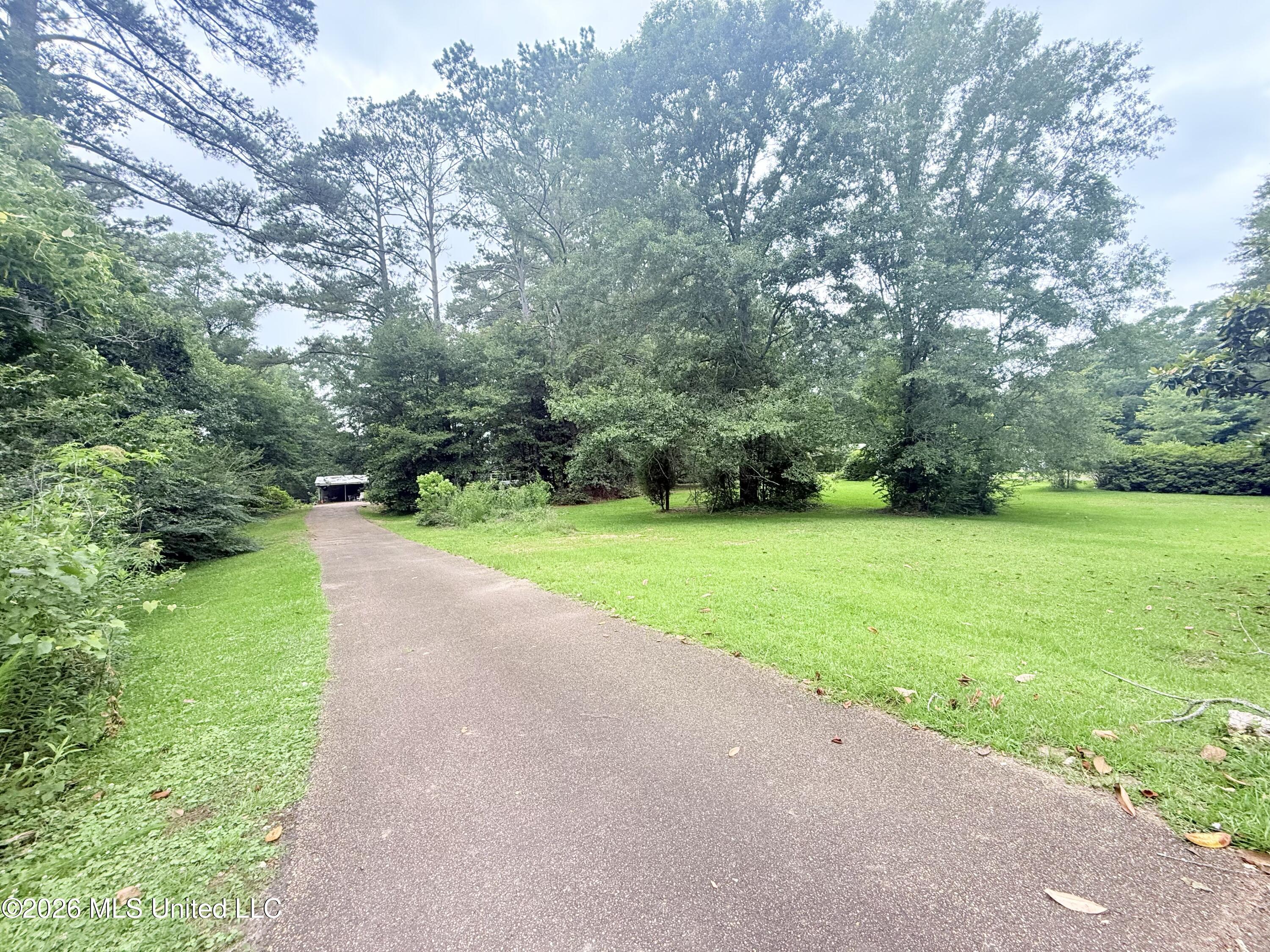 1015 Highway 51 Property Photo 2