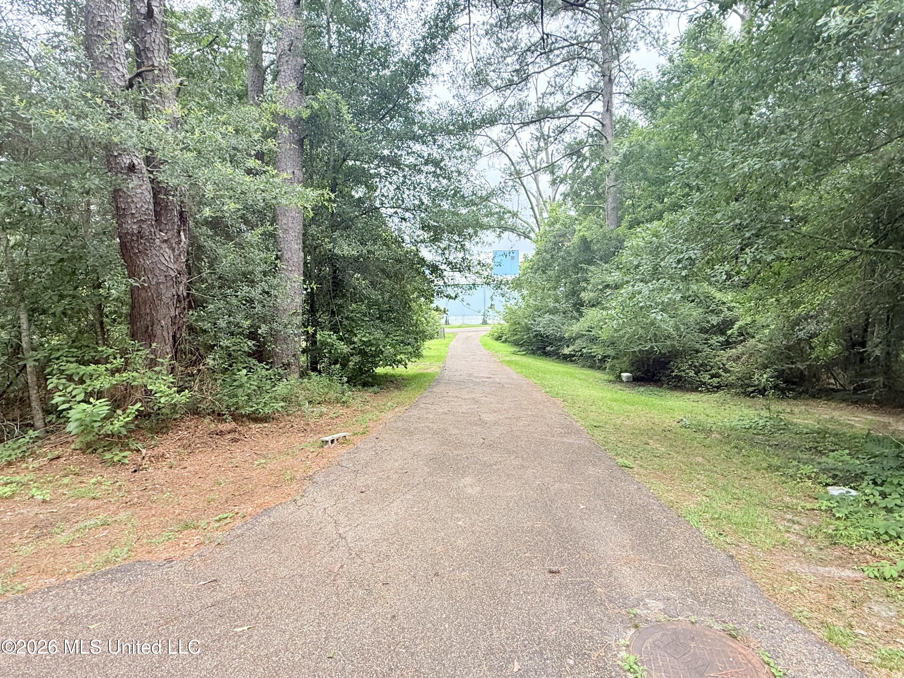 1015 Highway 51 Property Photo 3