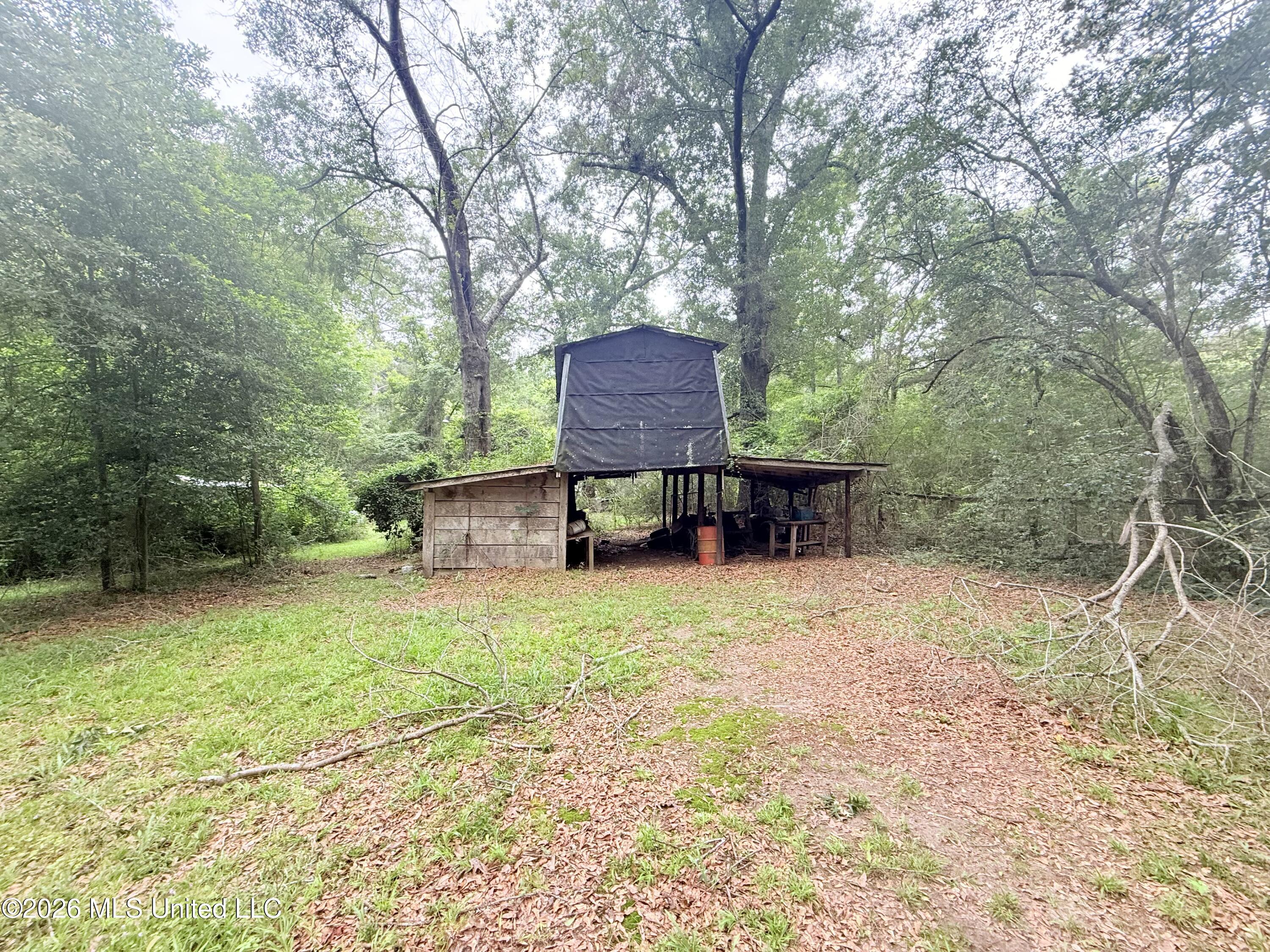 1015 Highway 51 Property Photo 4