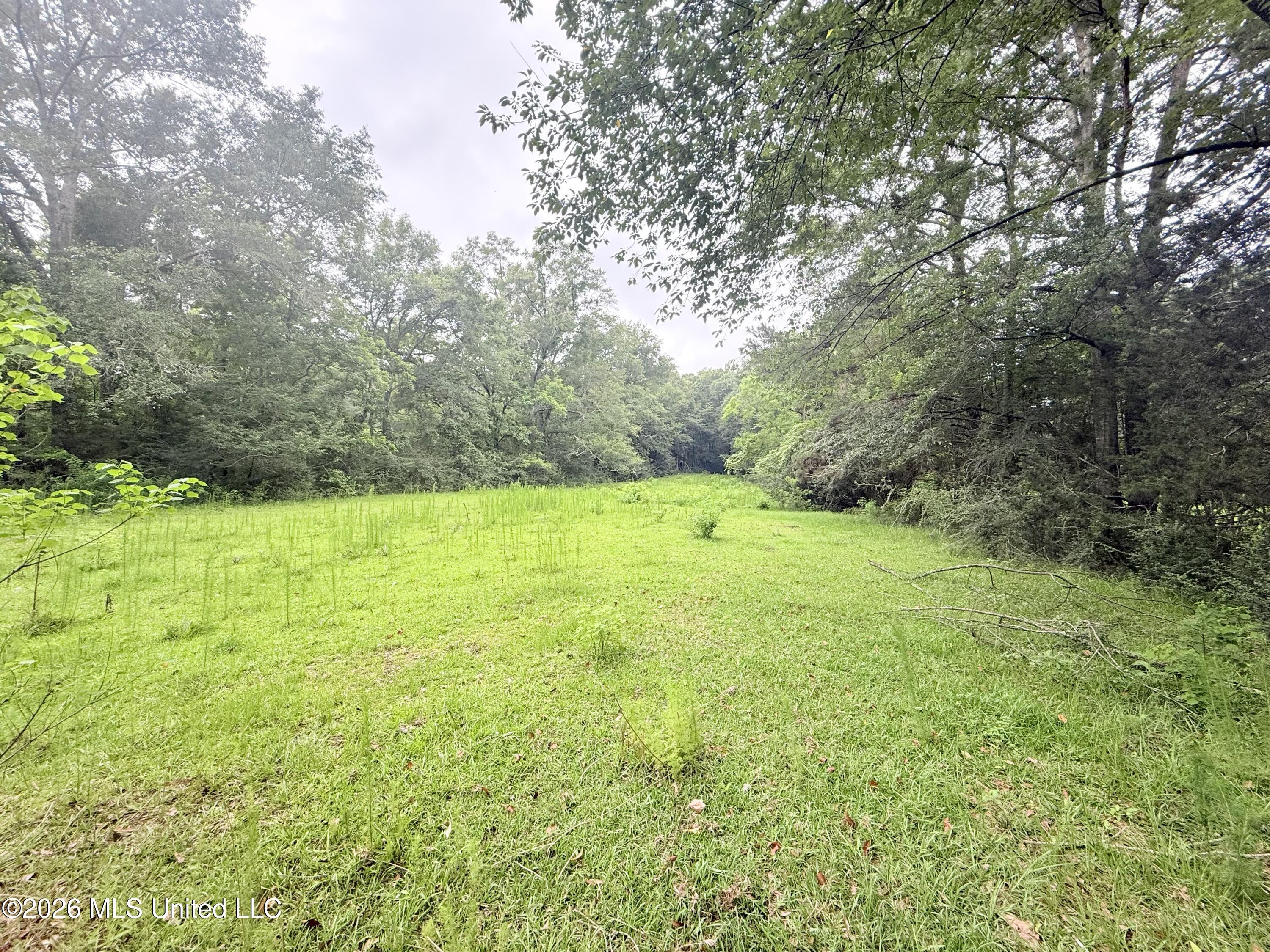 1015 Highway 51 Property Photo 10