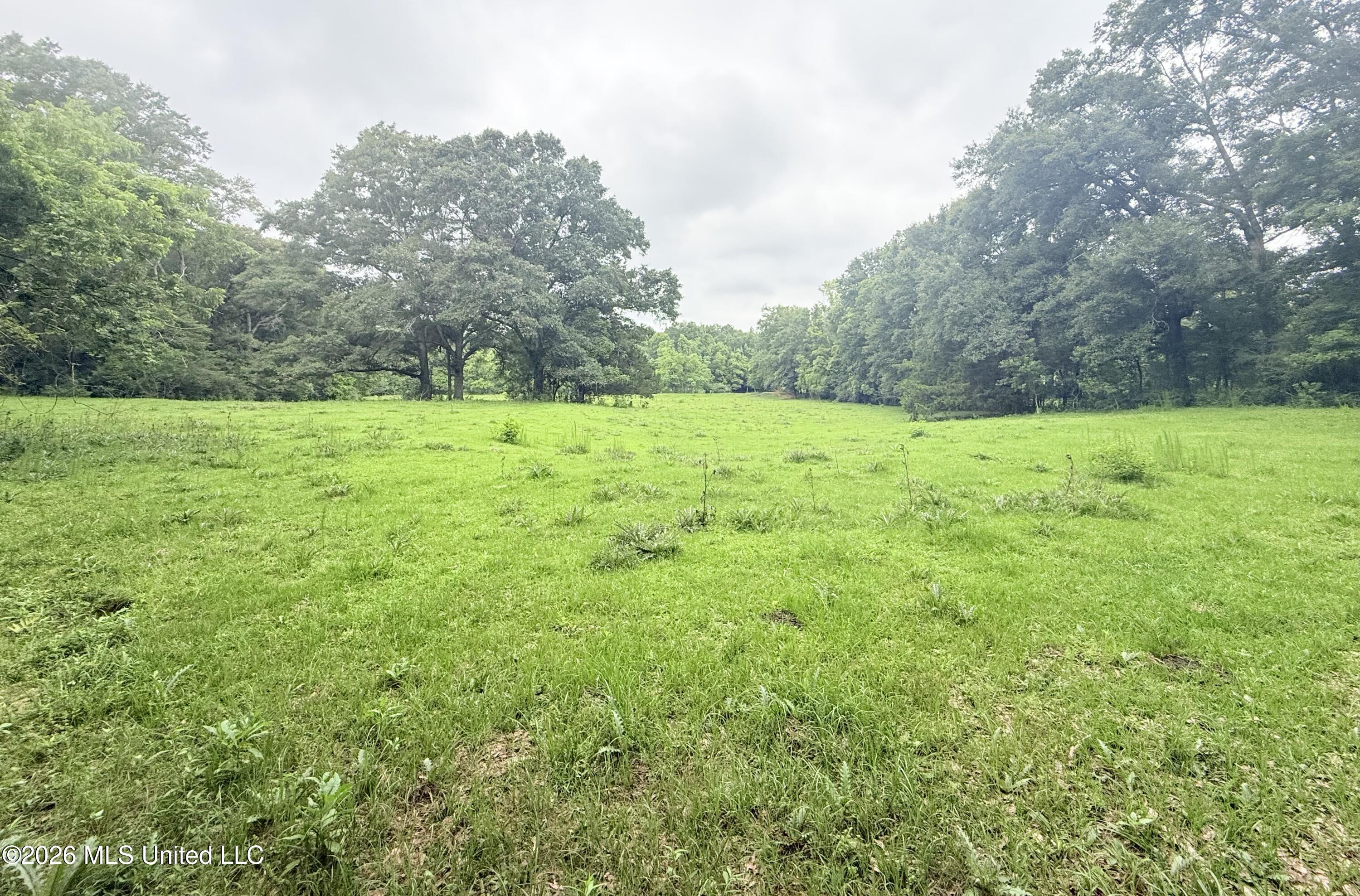 1015 Highway 51 Property Photo 11