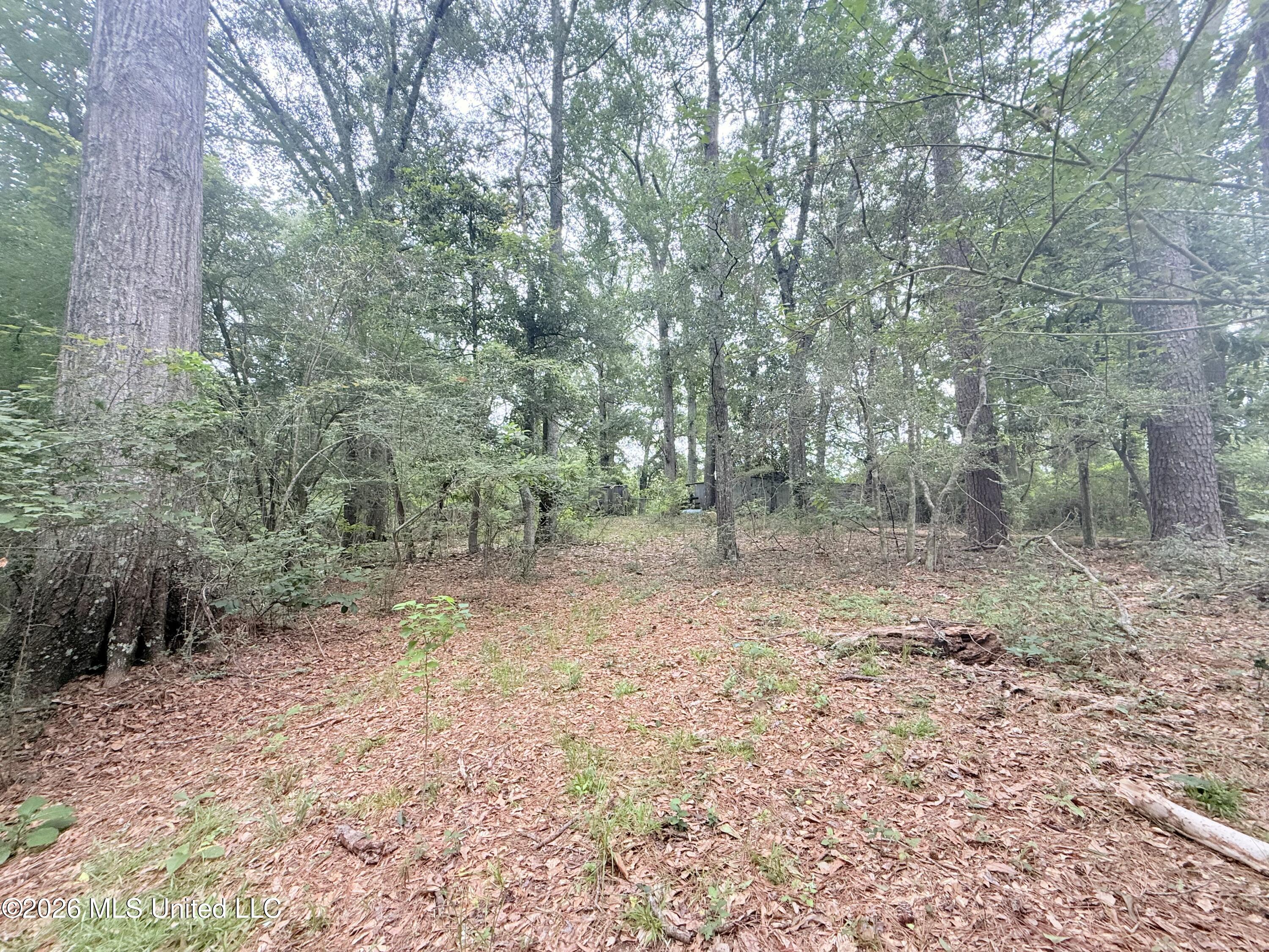 1015 Highway 51 Property Photo 12