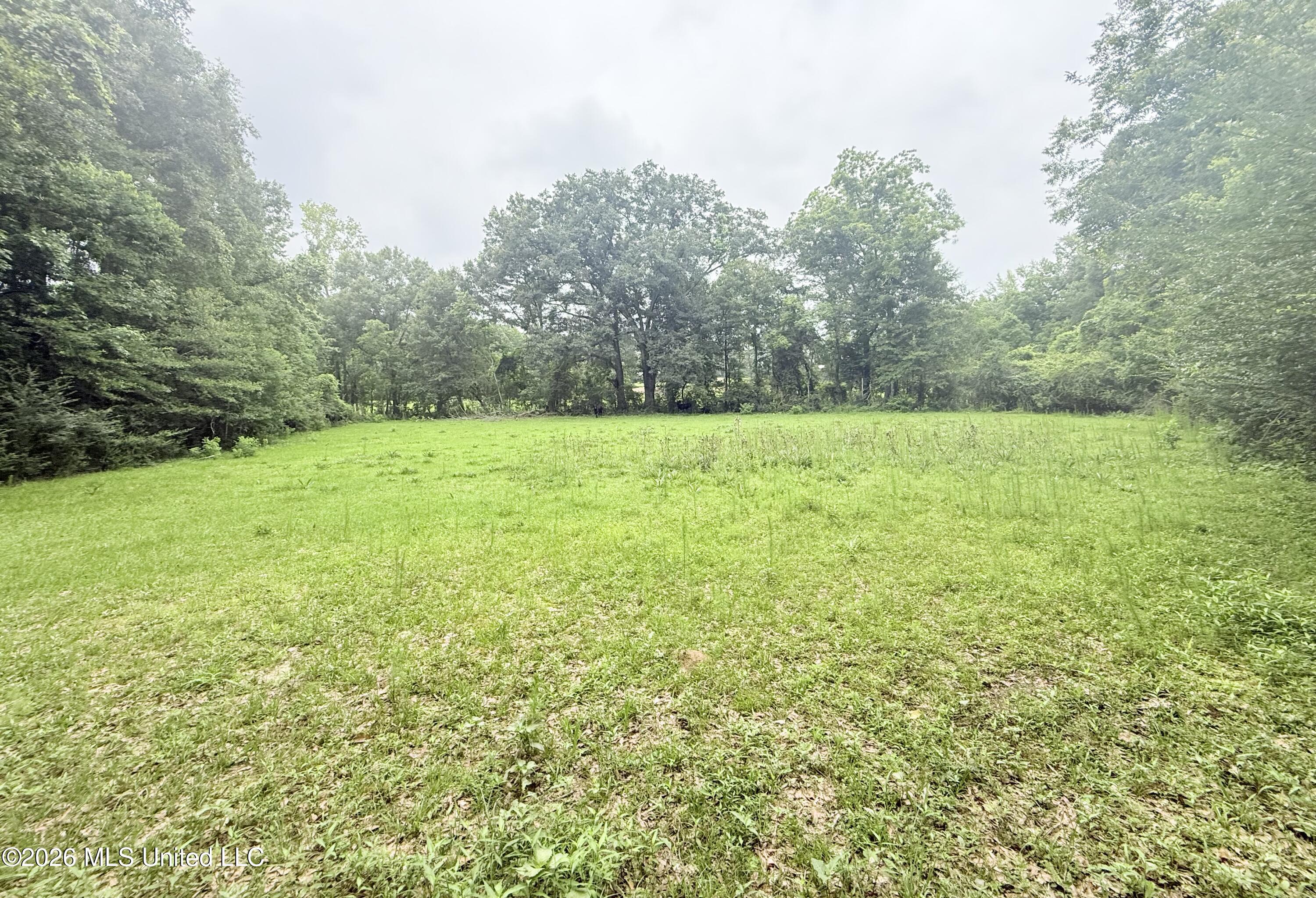 1015 Highway 51 Property Photo 13