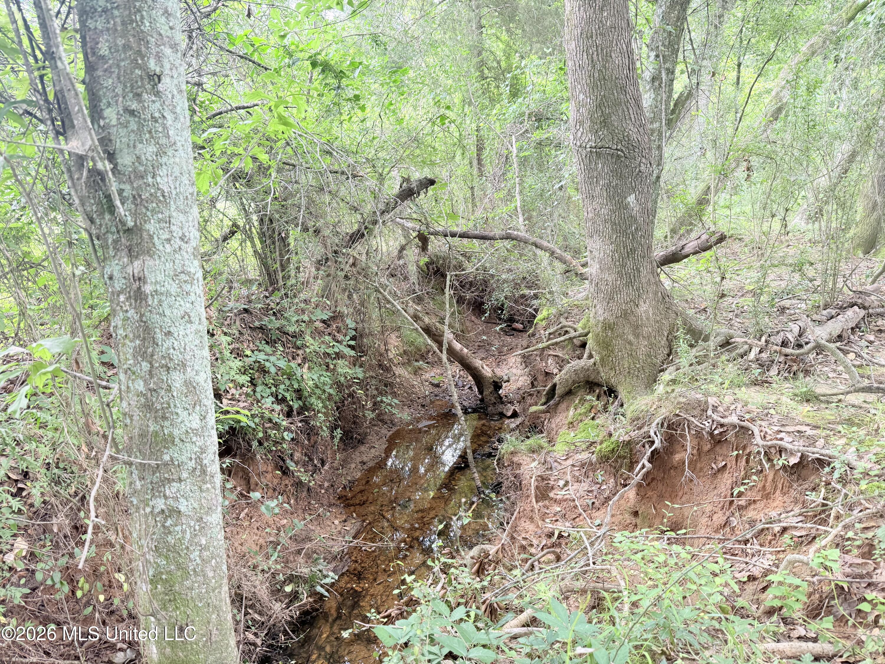 1015 Highway 51 Property Photo 14