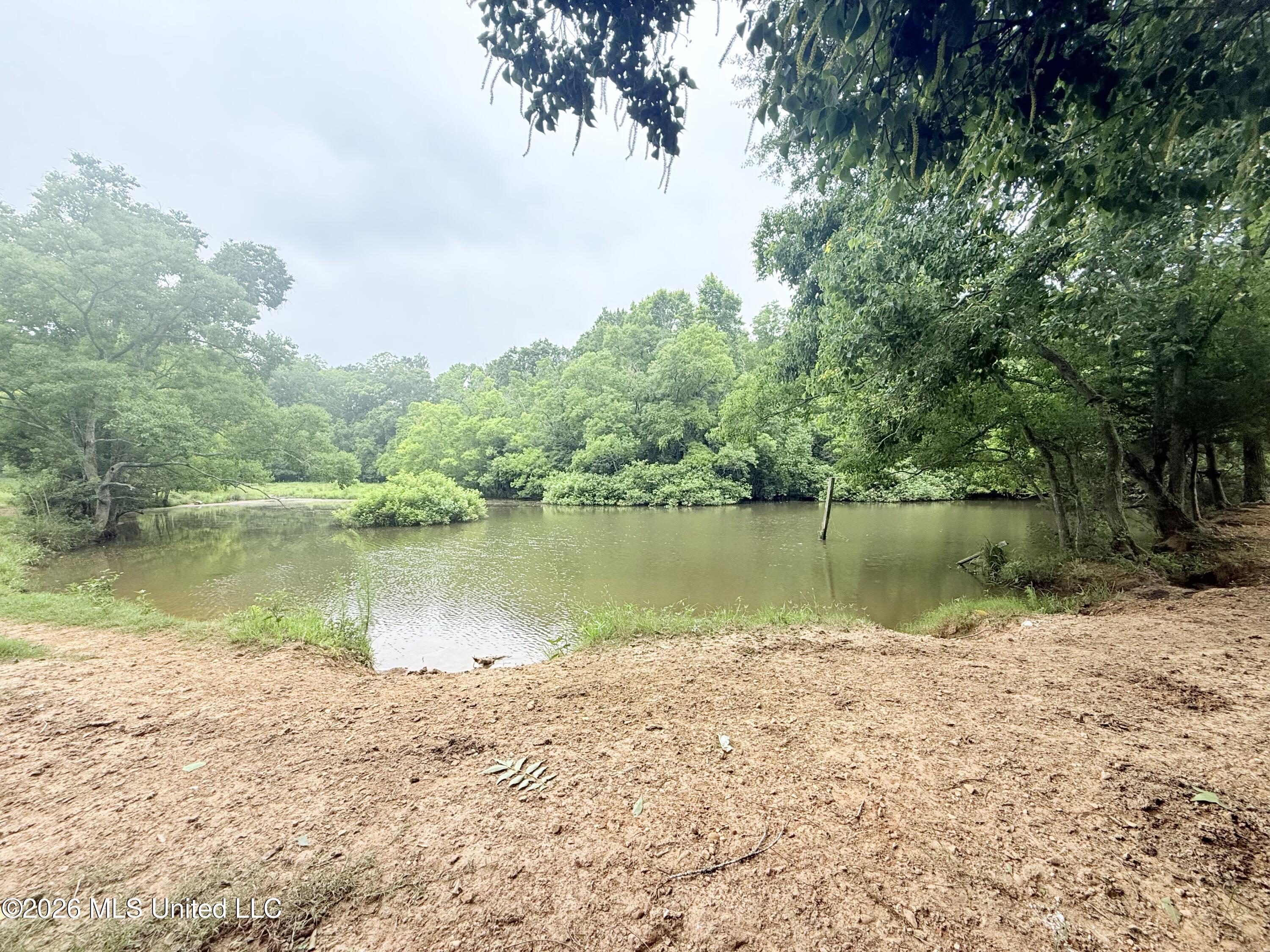 1015 Highway 51 Property Photo 15