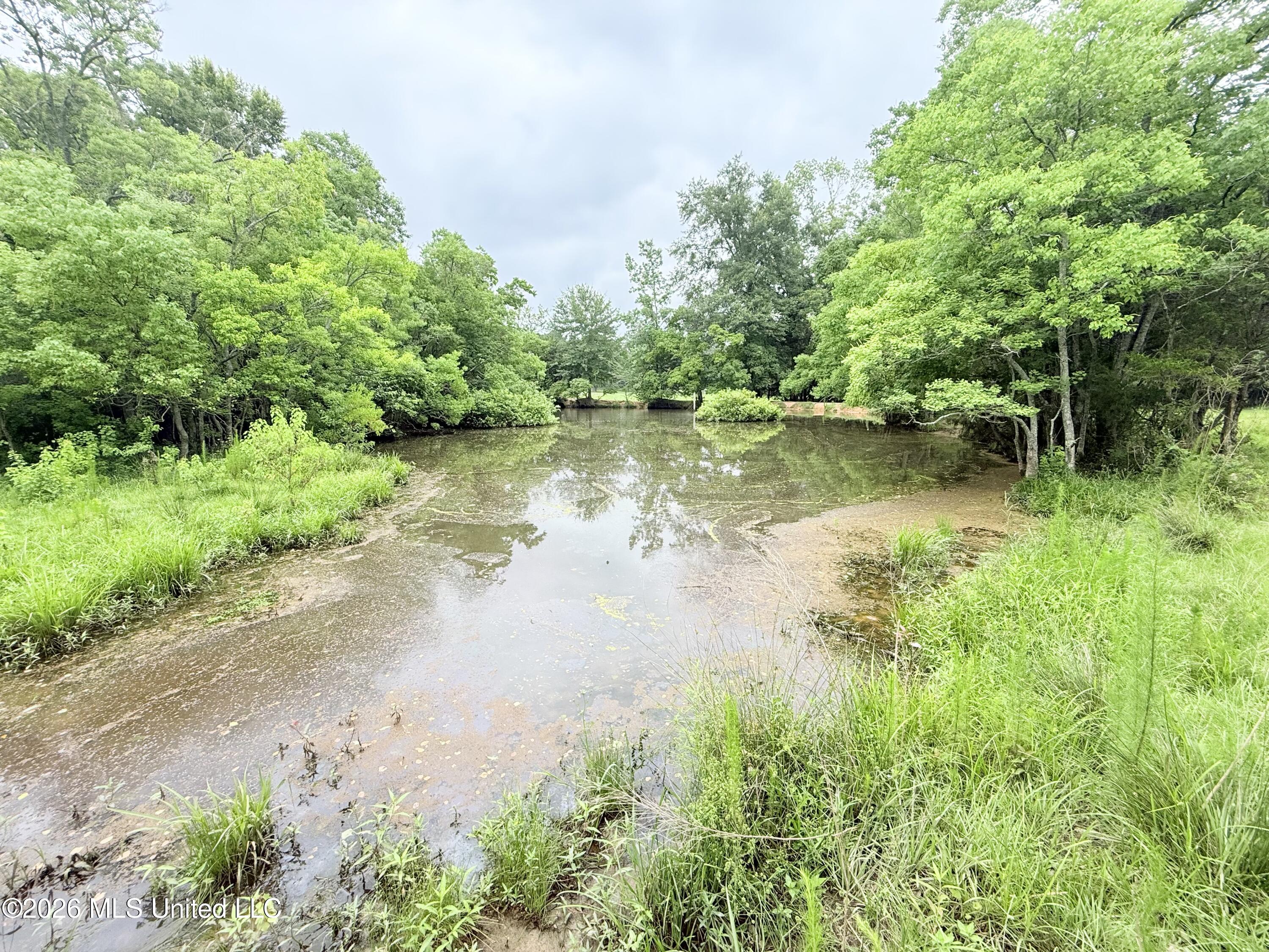 1015 Highway 51 Property Photo 17