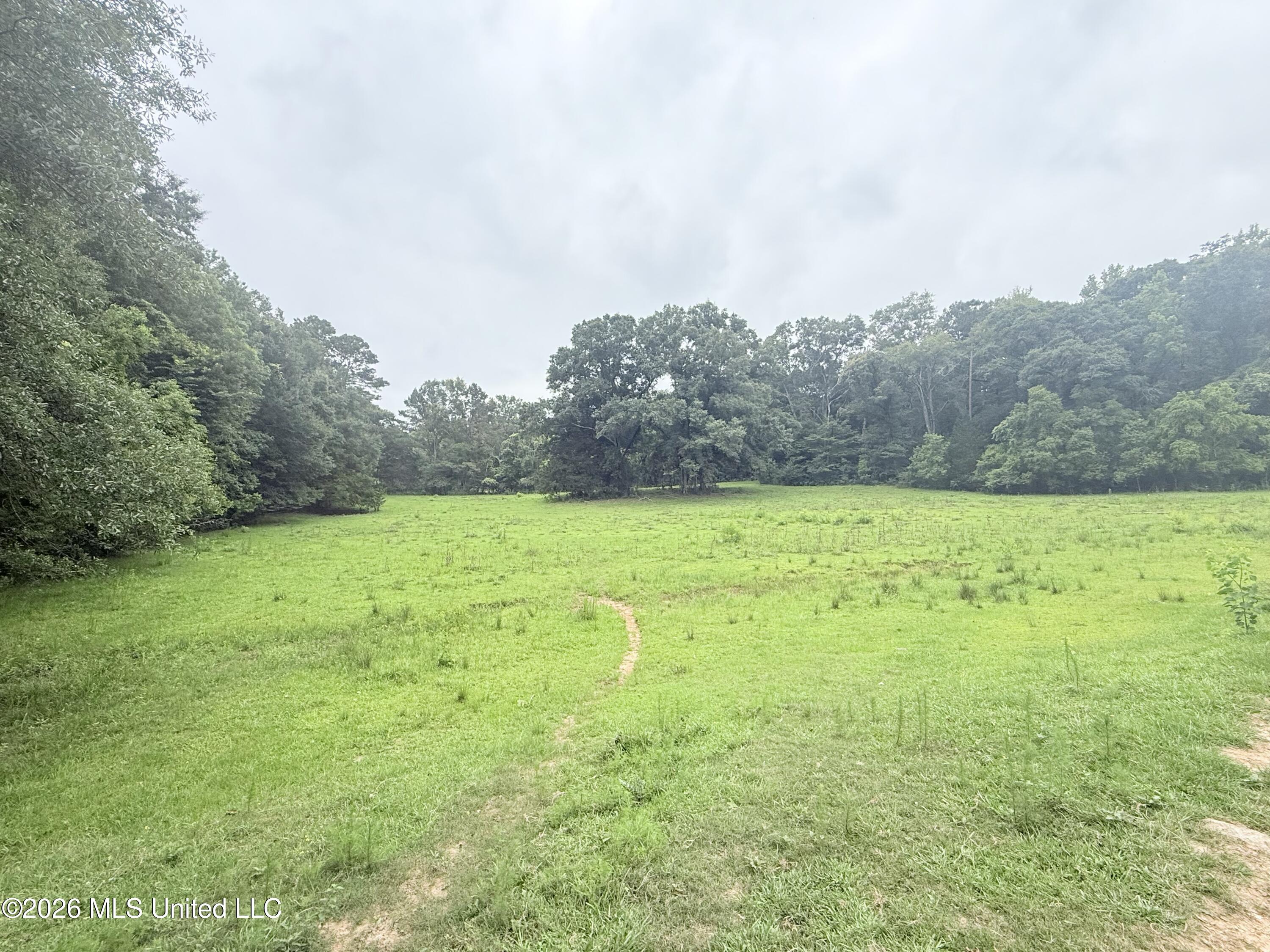 1015 Highway 51 Property Photo 18