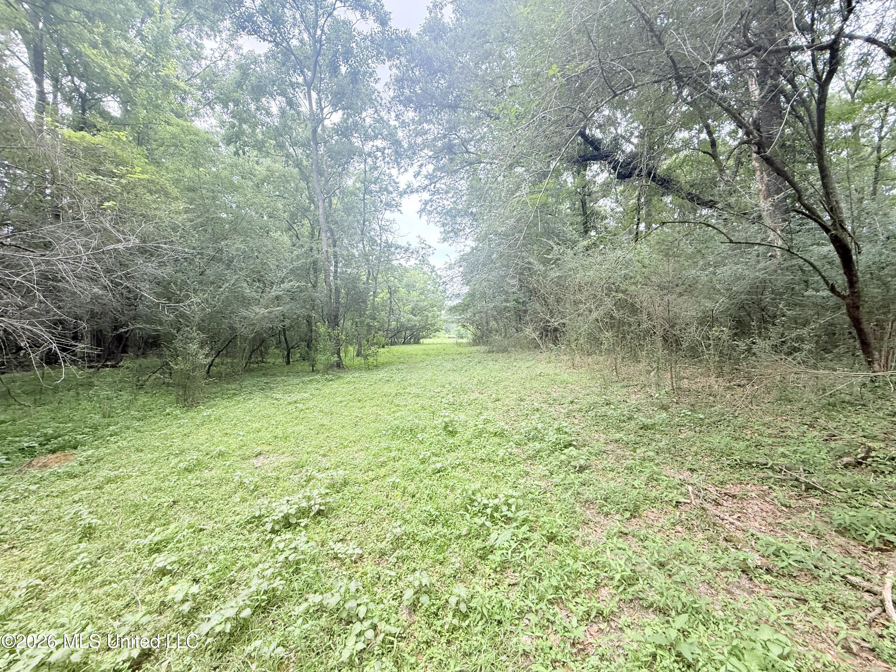 1015 Highway 51 Property Photo 21