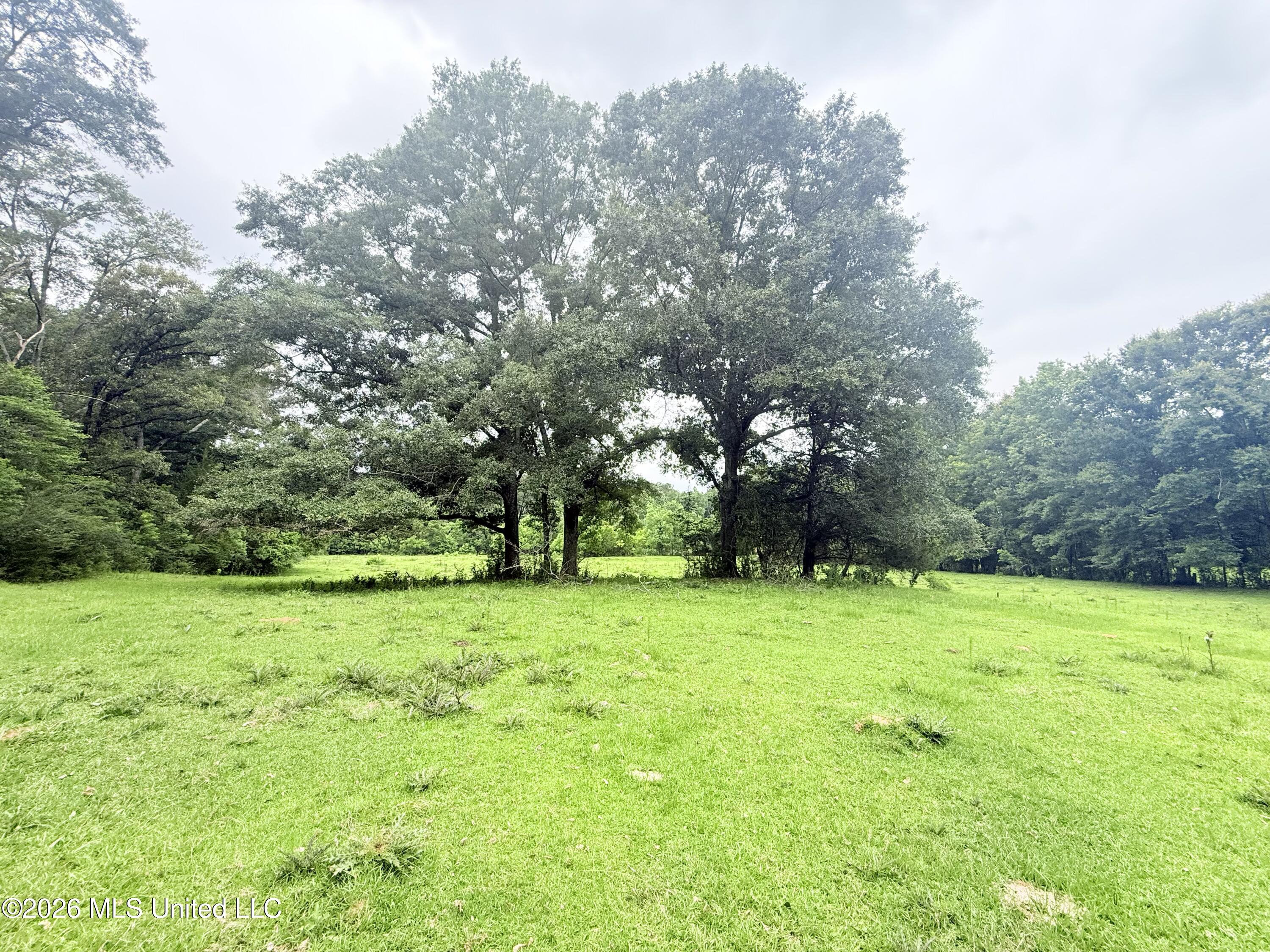 1015 Highway 51 Property Photo 22
