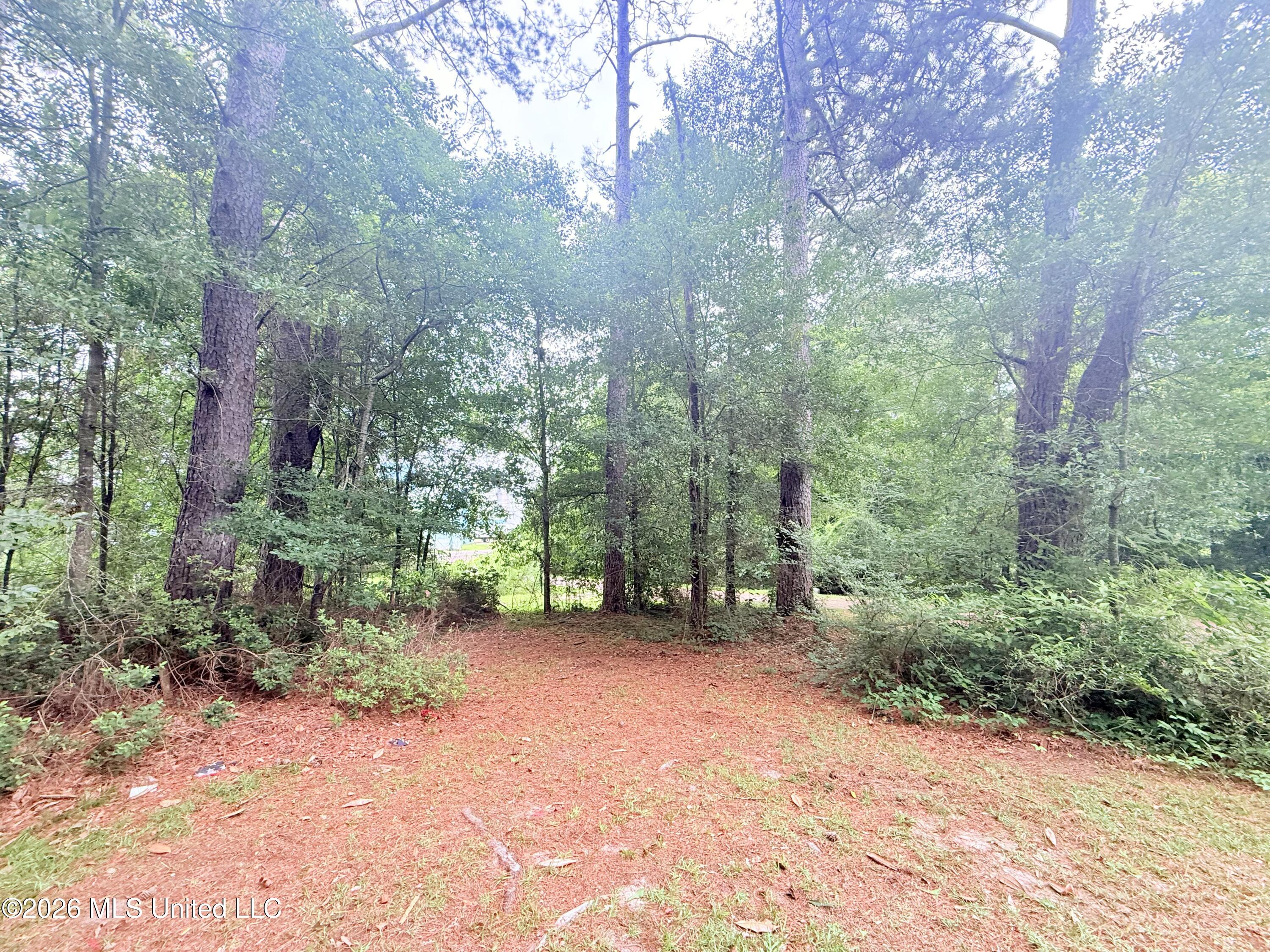 1015 Highway 51 Property Photo 23