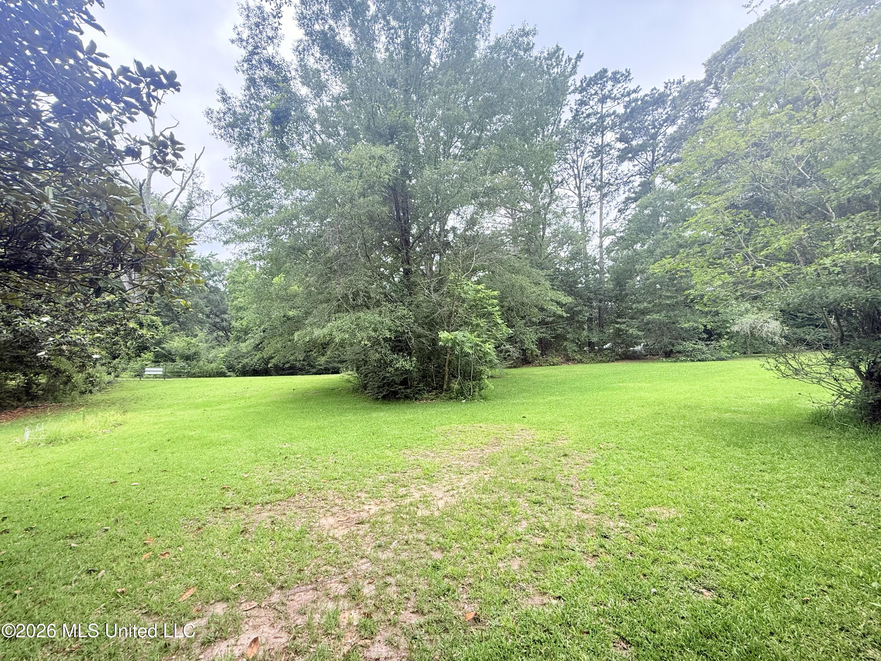1015 Highway 51 Property Photo 24