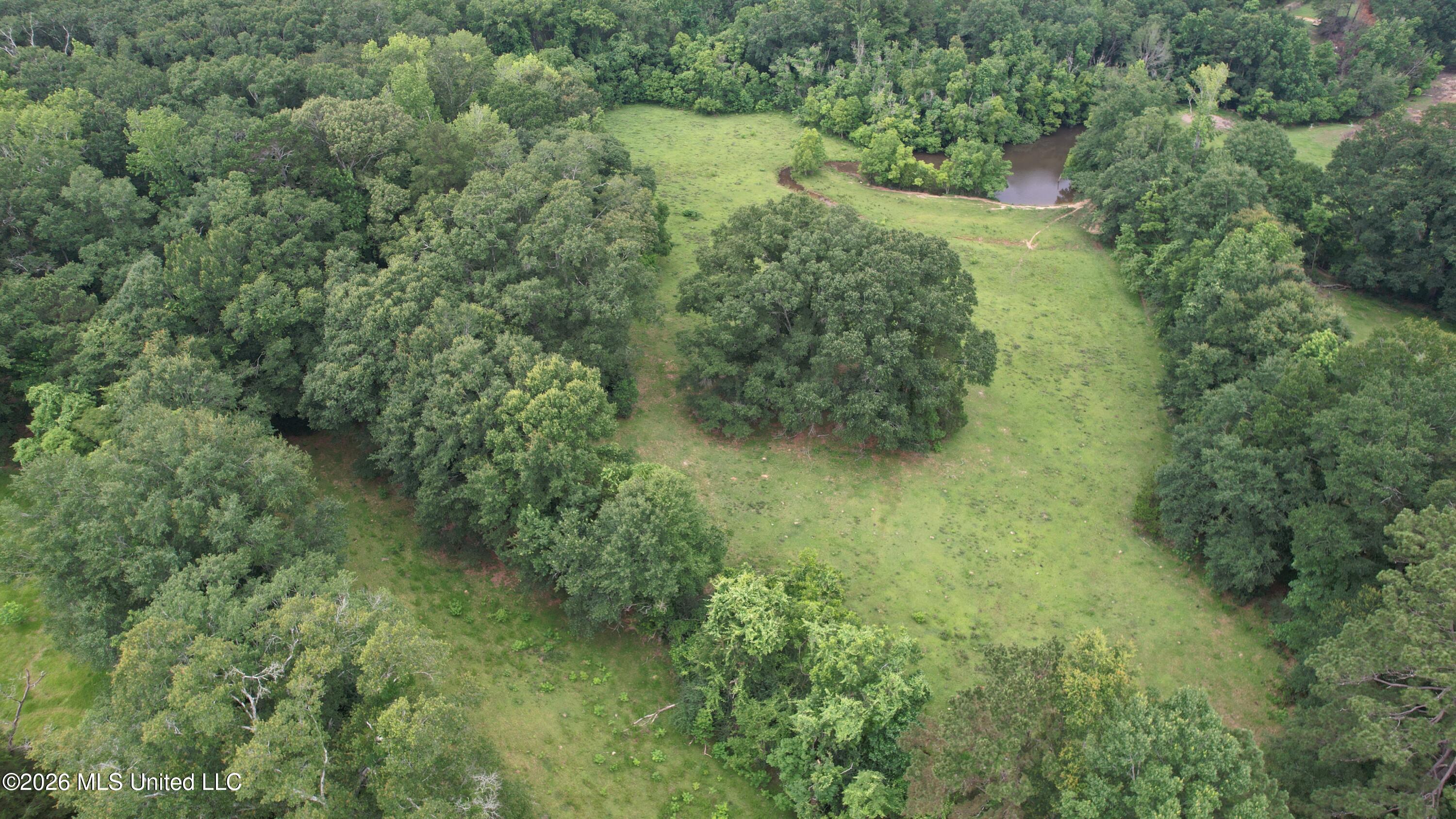 1015 Highway 51 Property Photo 26