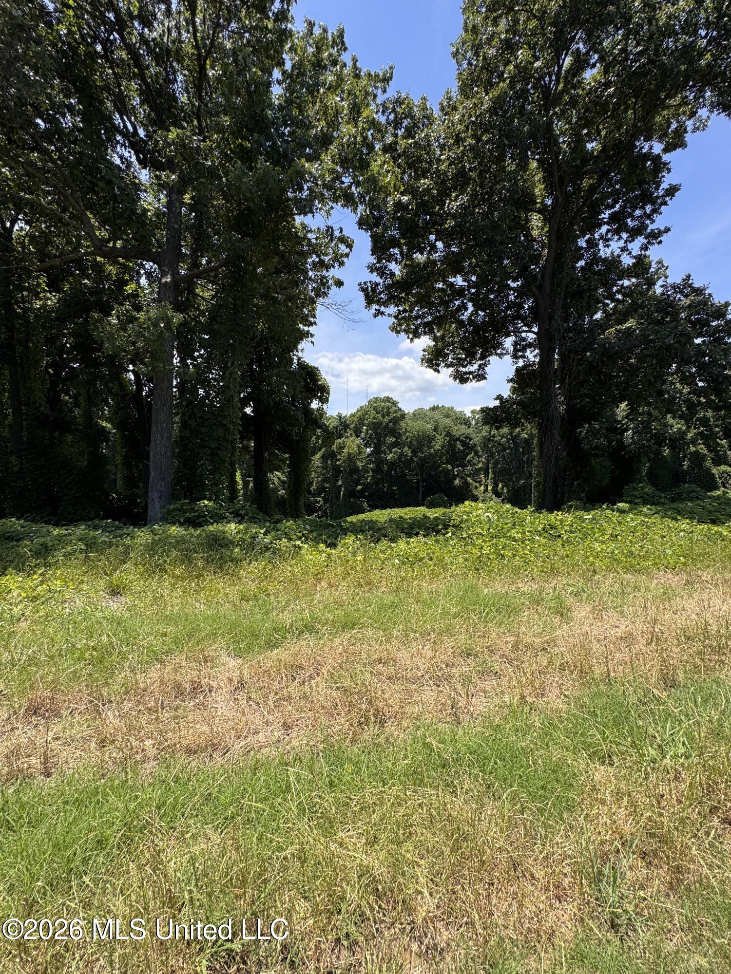 10533 Spring River Cove