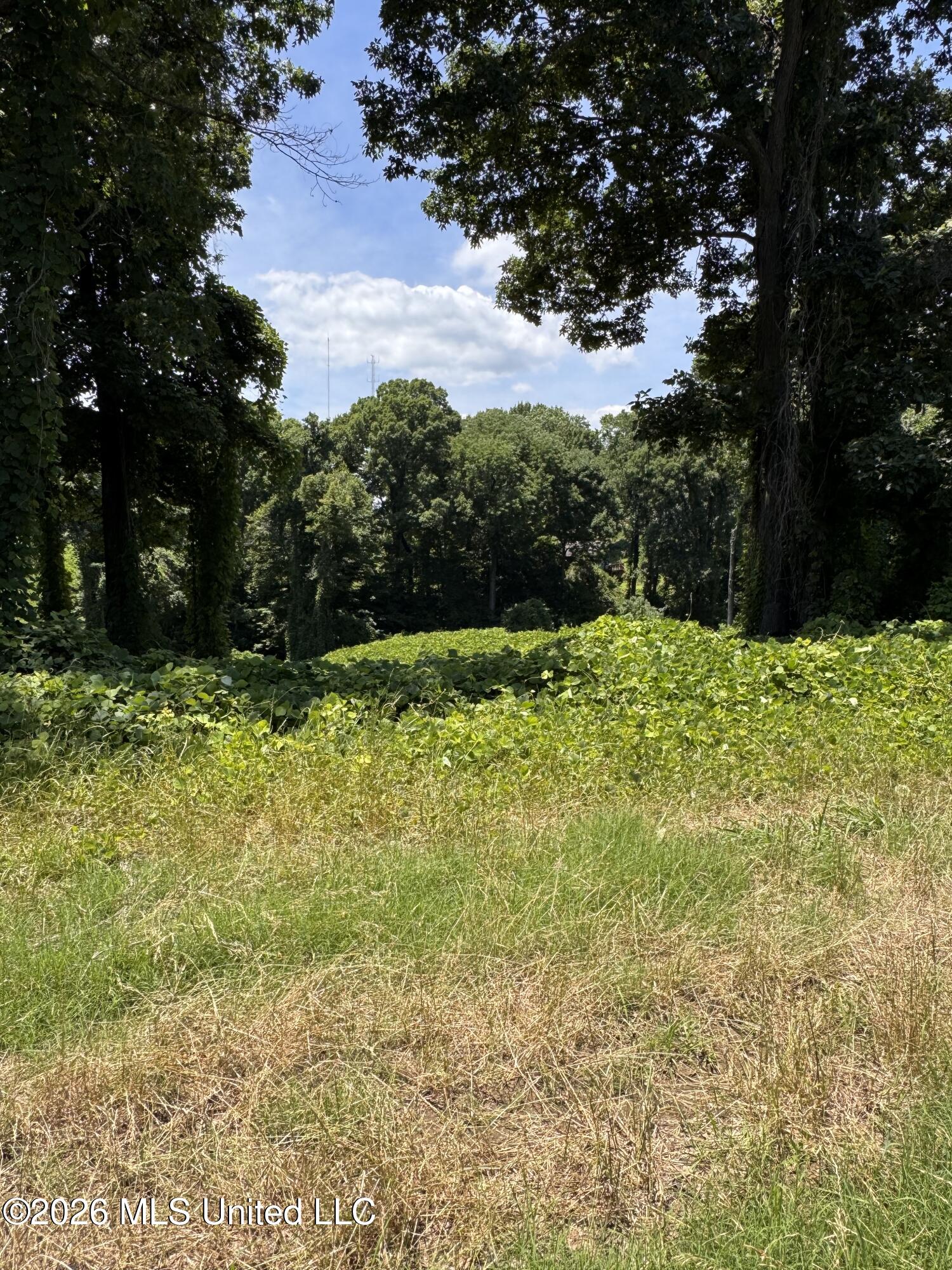 10533 Spring River Cove Property Photo 4
