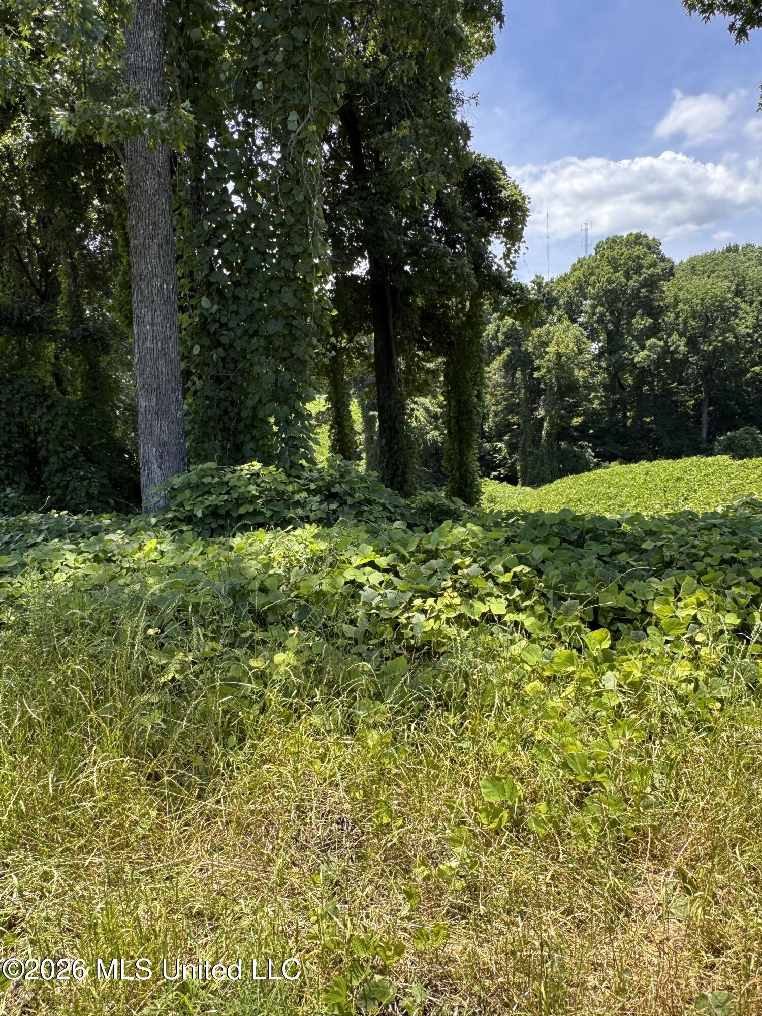 10533 Spring River Cove Property Photo 6