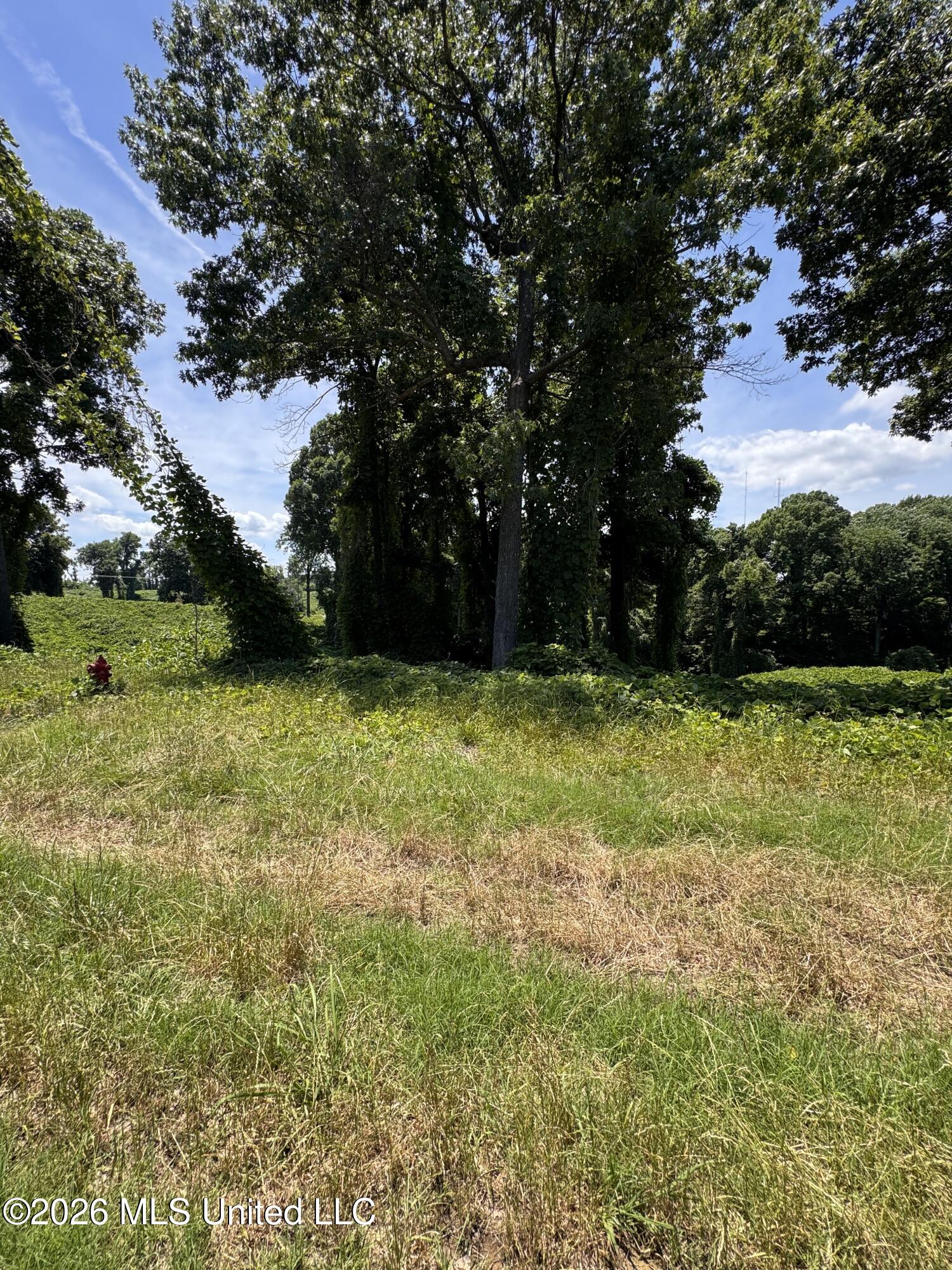 10533 Spring River Cove Property Photo 9