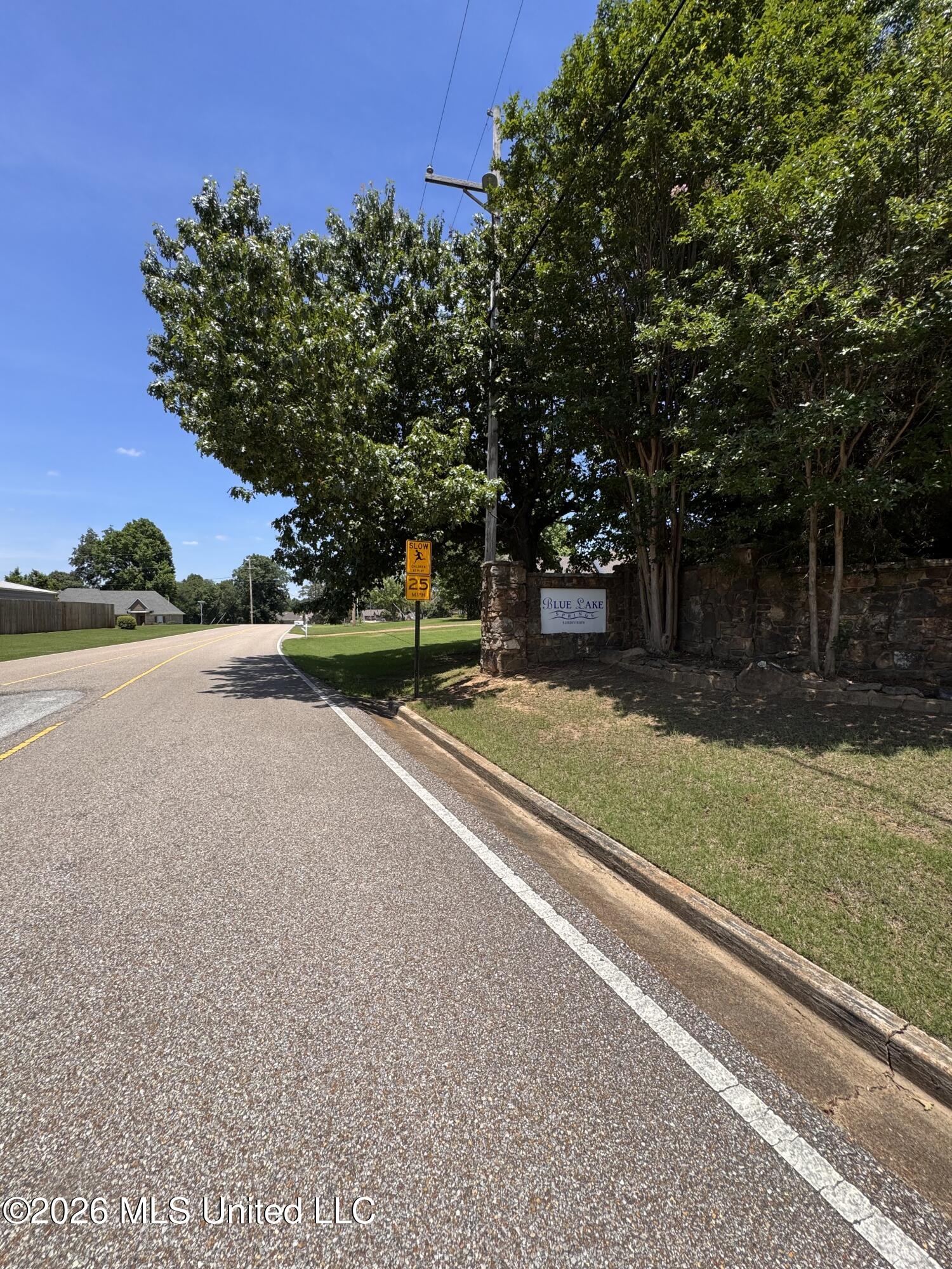 10533 Spring River Cove Property Photo 12