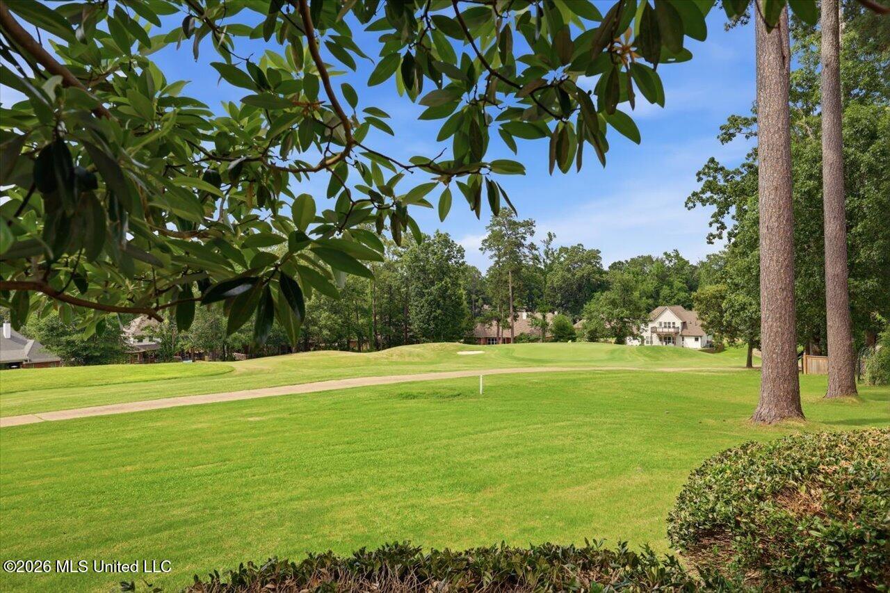103 Woodlands Green Drive Property Photo 44