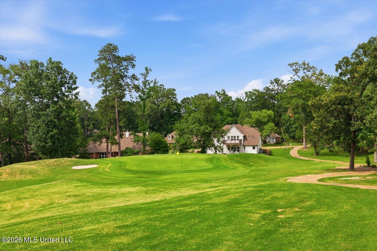 103 Woodlands Green Drive Property Photo 49