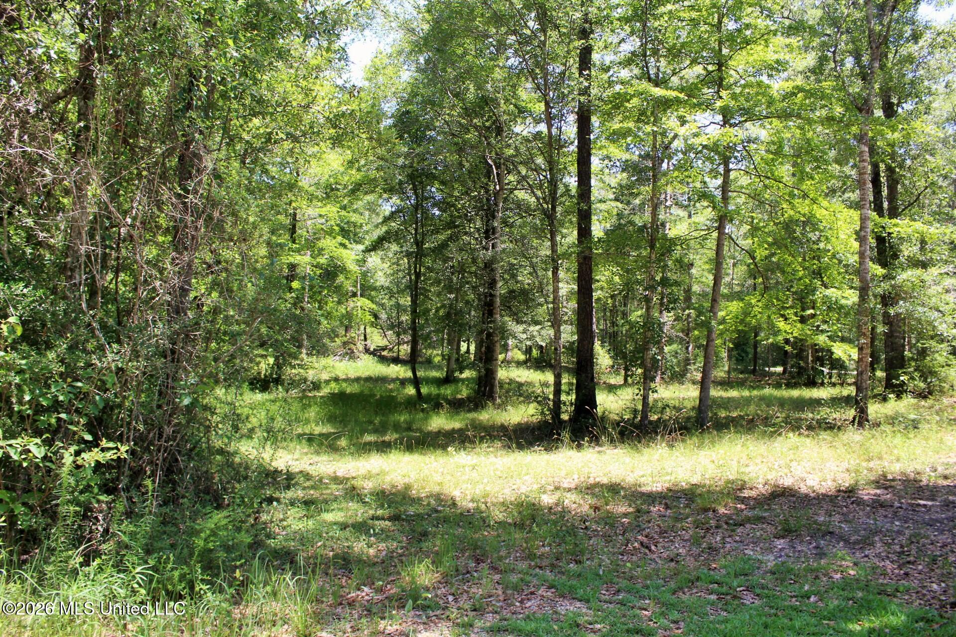 2.88ac Morrison Drive Property Photo 10