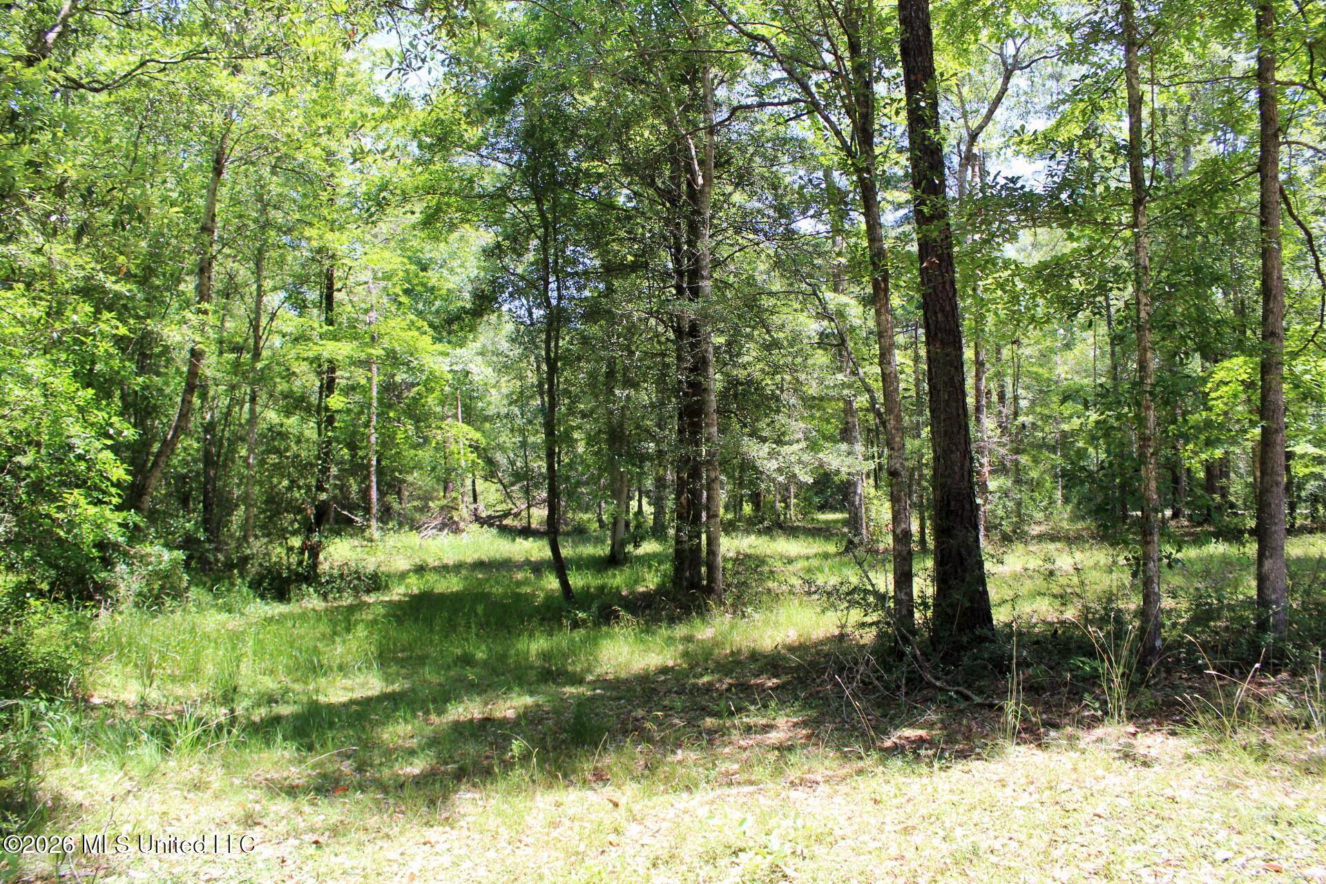2.88ac Morrison Drive Property Photo 11