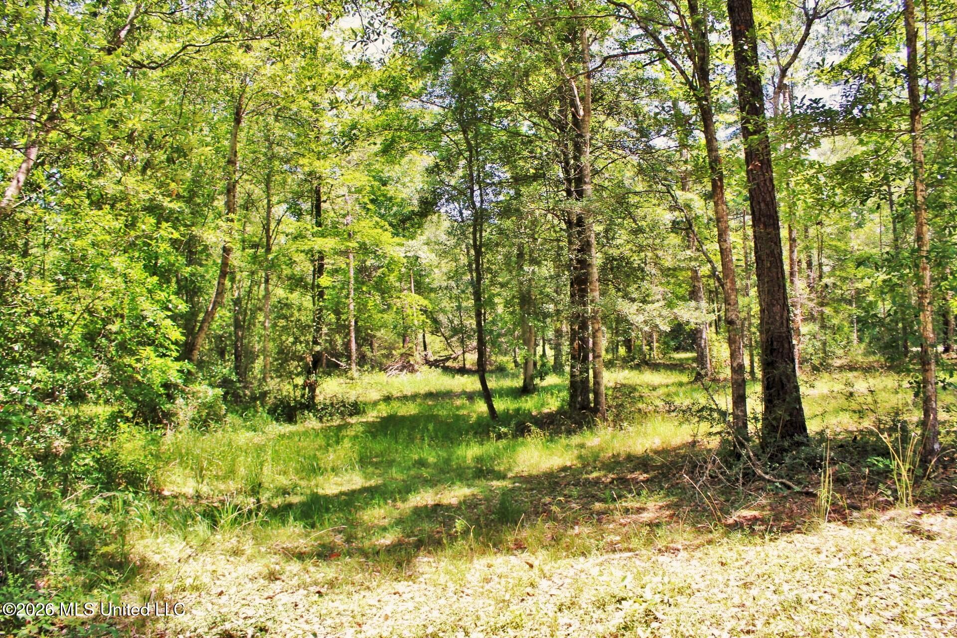 2.88ac Morrison Drive Property Photo 12