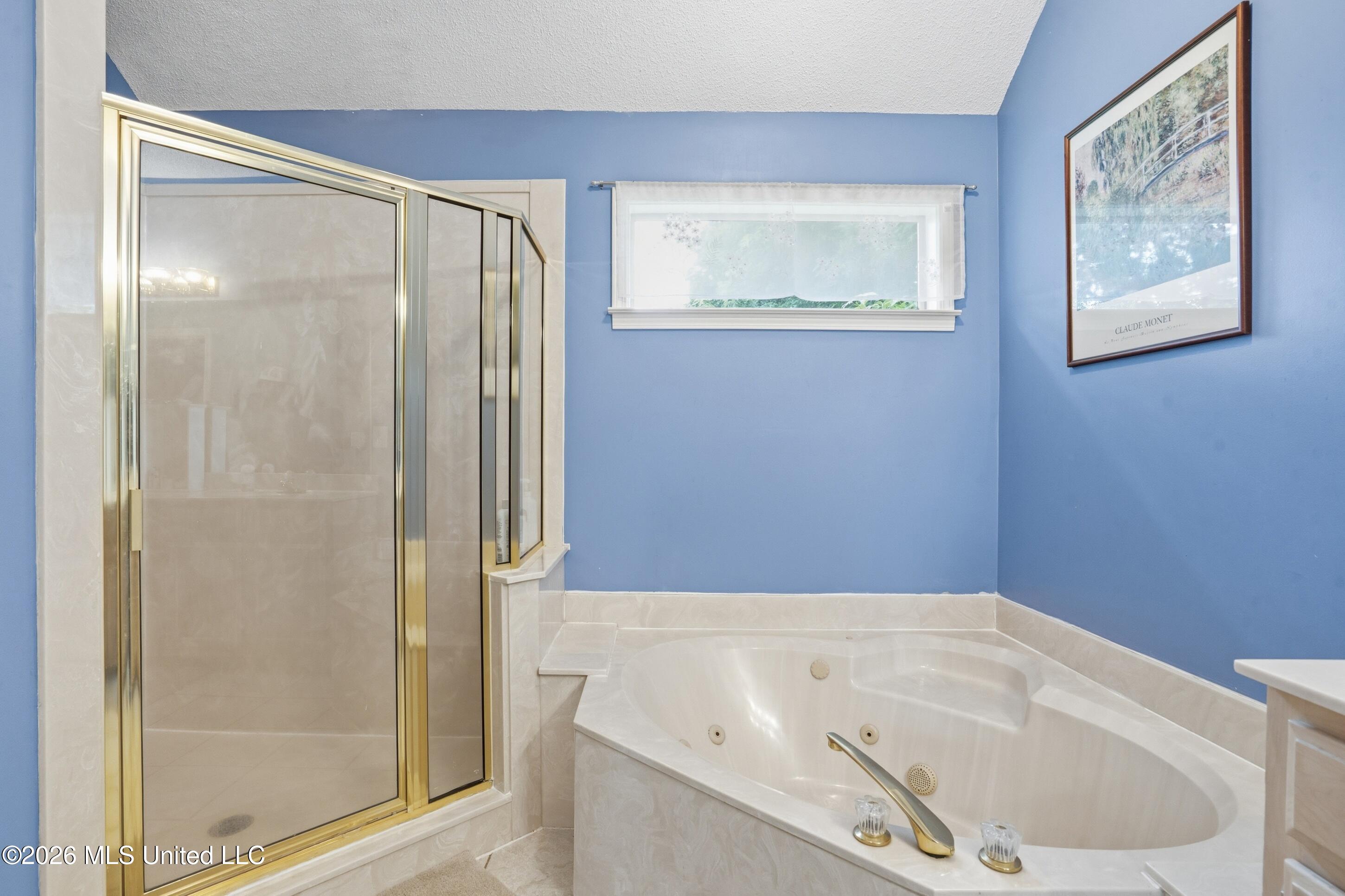 6093 Shadow Oaks Cove S Property Photo 11