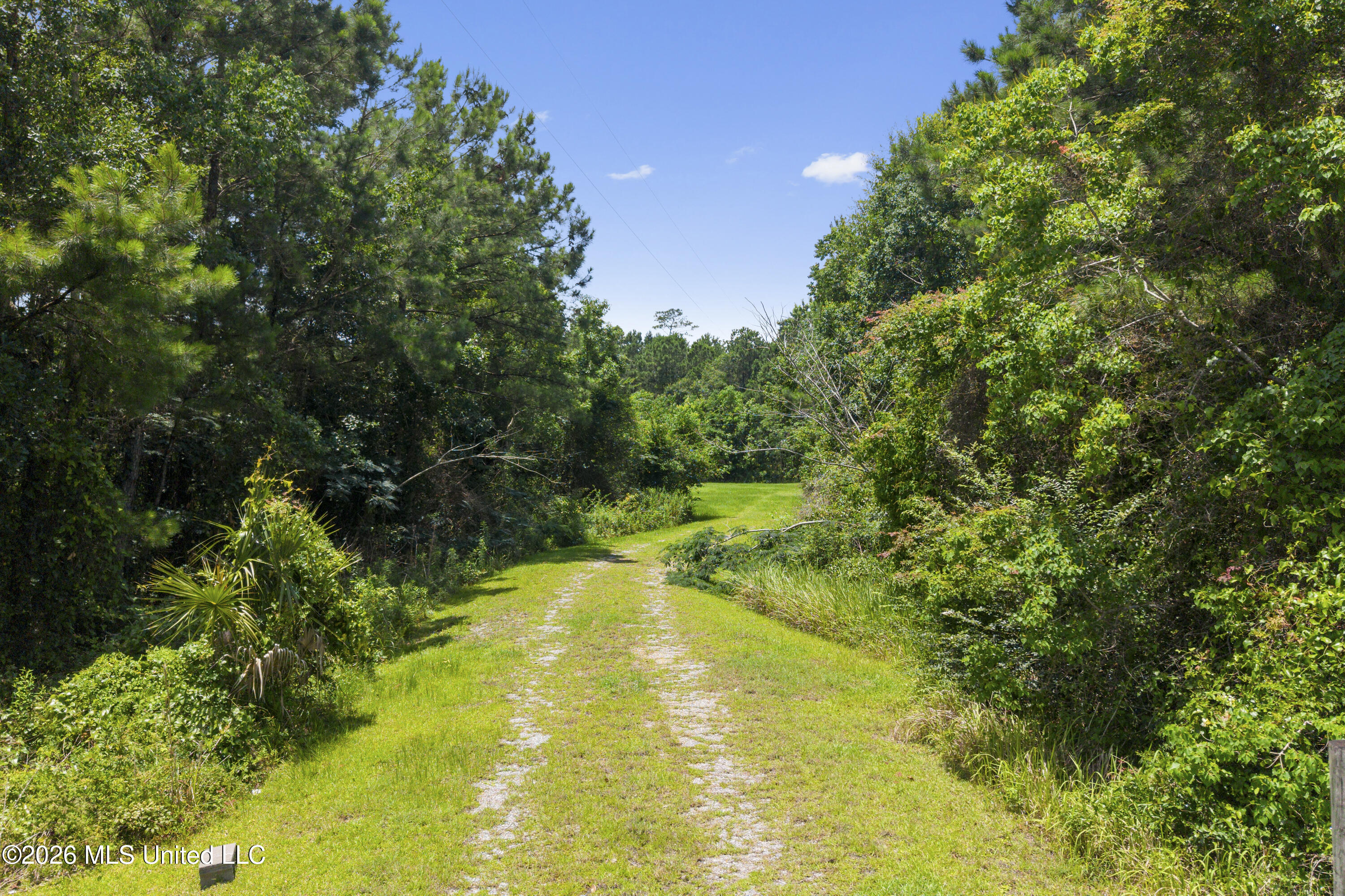1441 Blue Meadow Road Property Photo 2