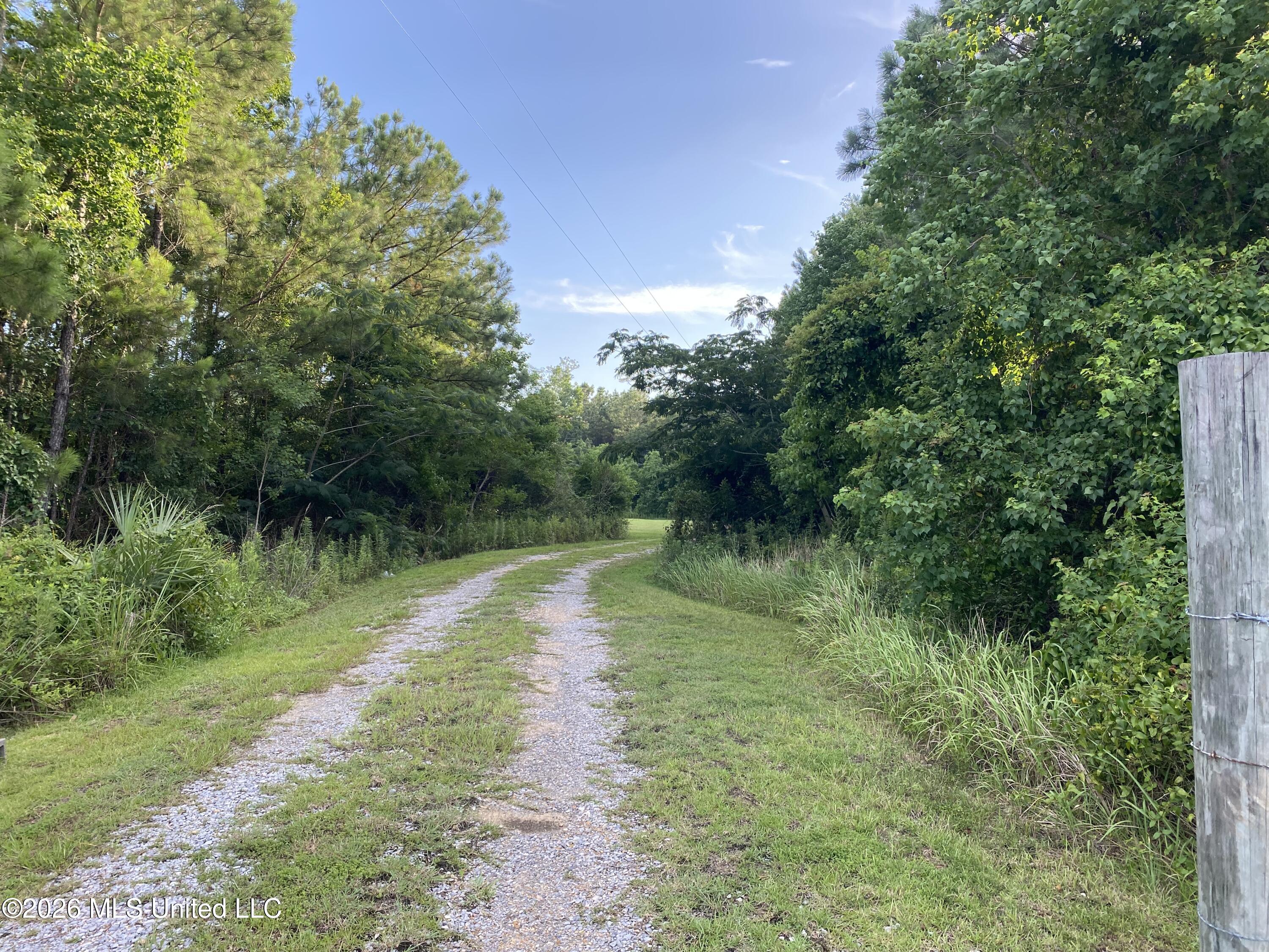 1441 Blue Meadow Road Property Photo 4