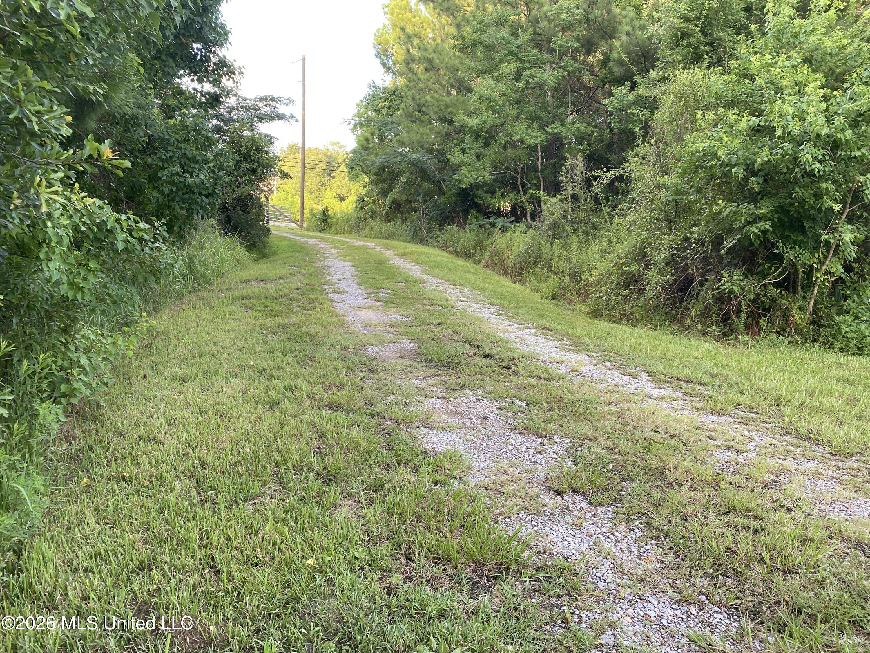 1441 Blue Meadow Road Property Photo 5