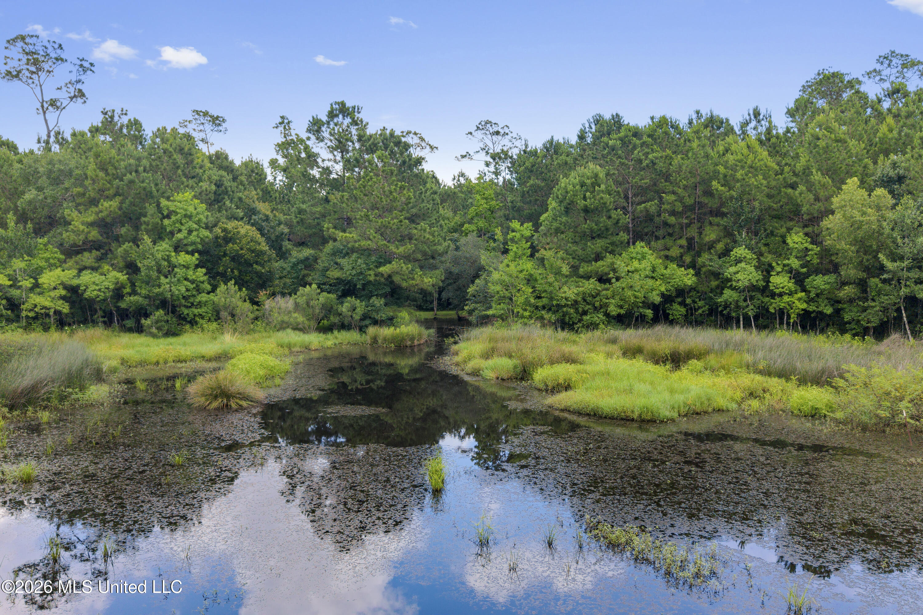 1441 Blue Meadow Road Property Photo 7