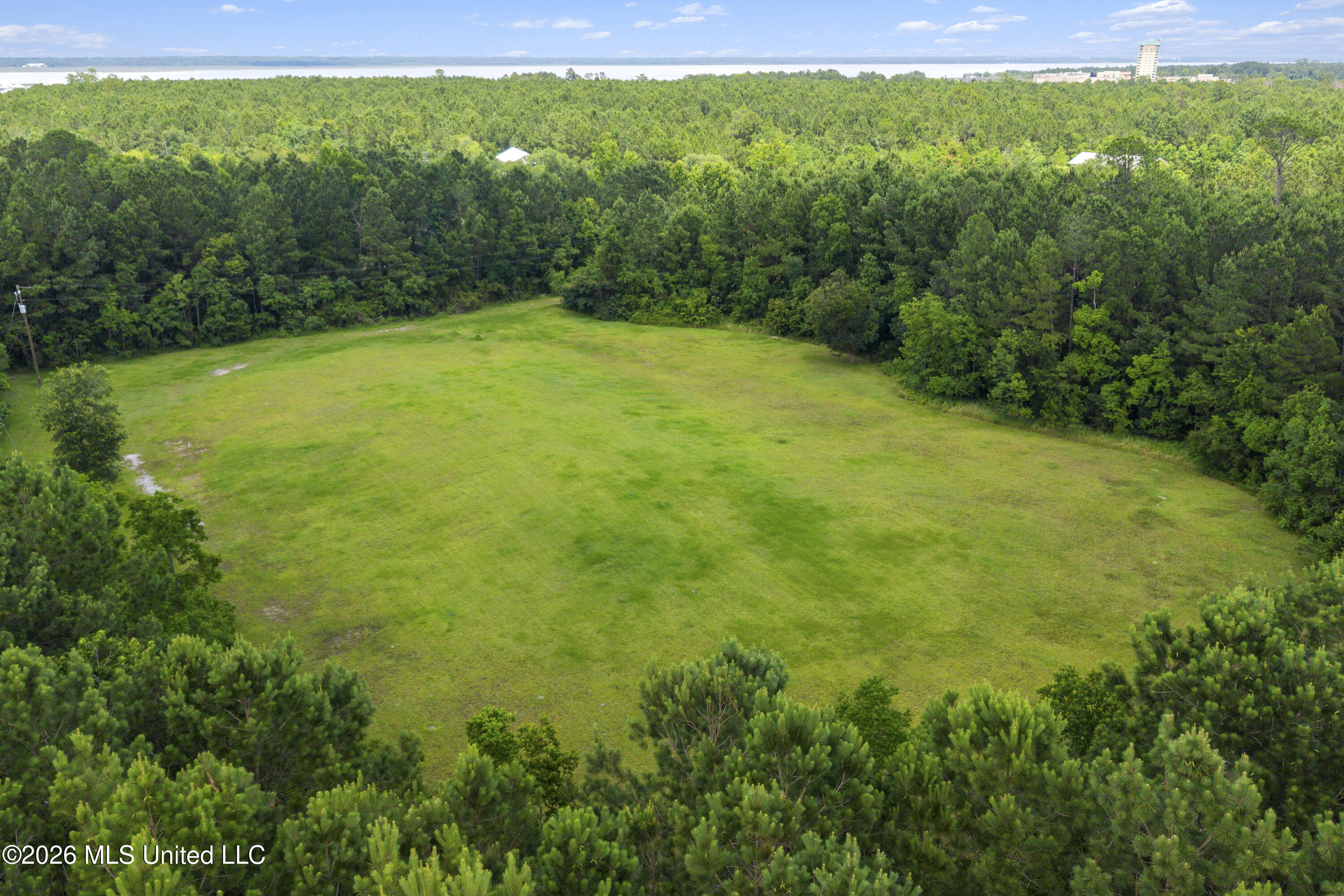 1441 Blue Meadow Road Property Photo 9