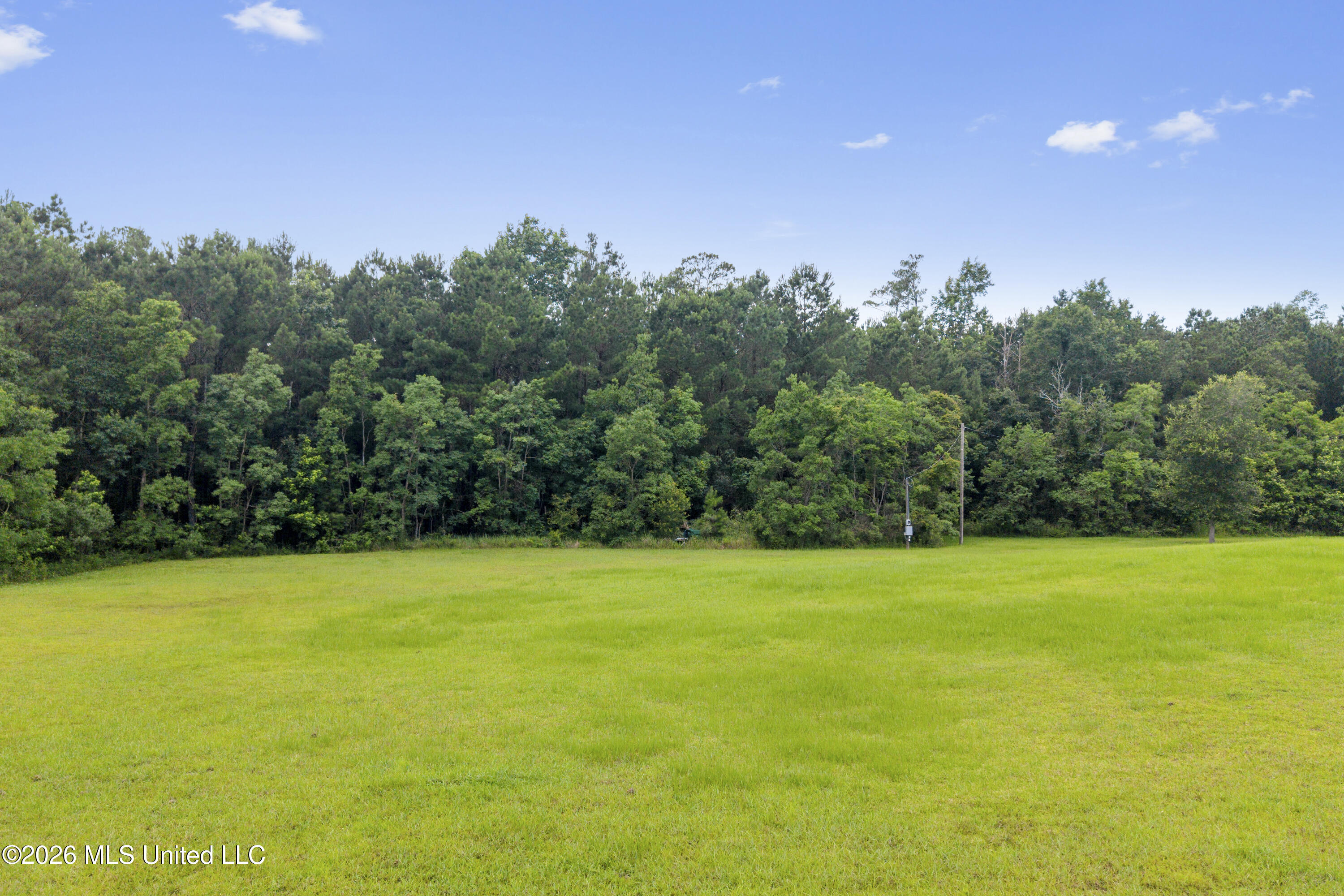 1441 Blue Meadow Road Property Photo 11